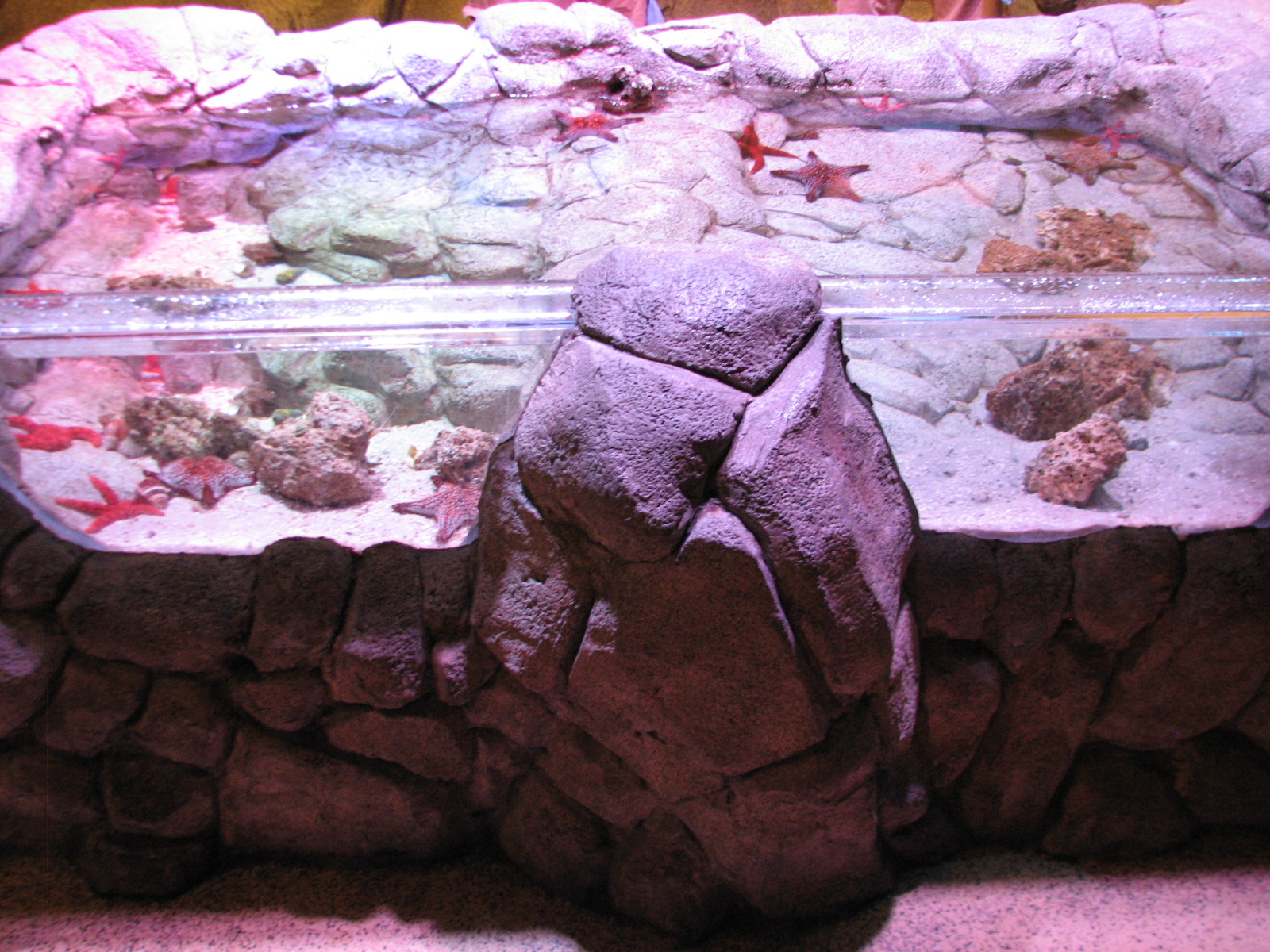 Rockpool - Second and Third Touchpools