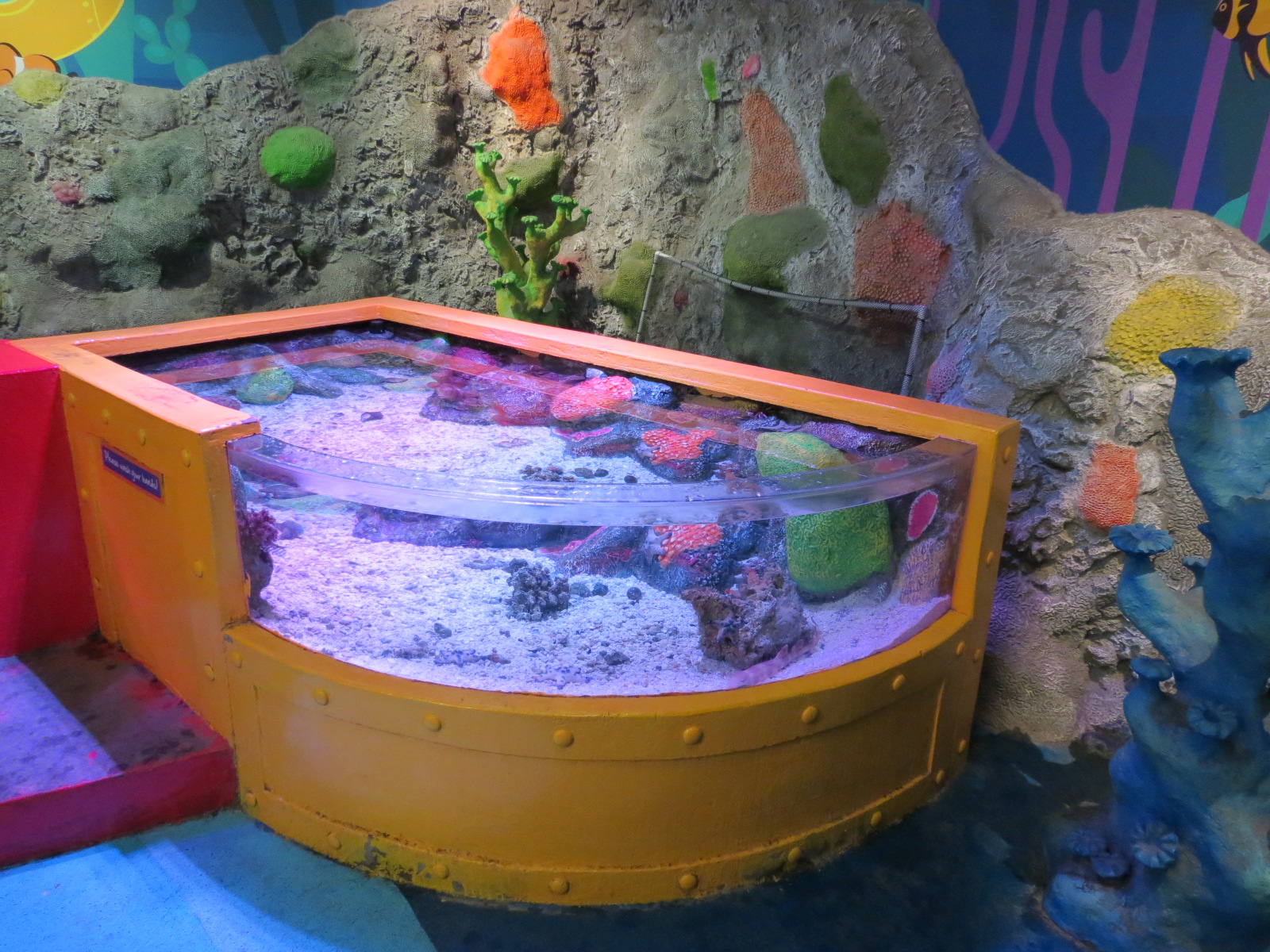 Rockpools/Touch A Creature