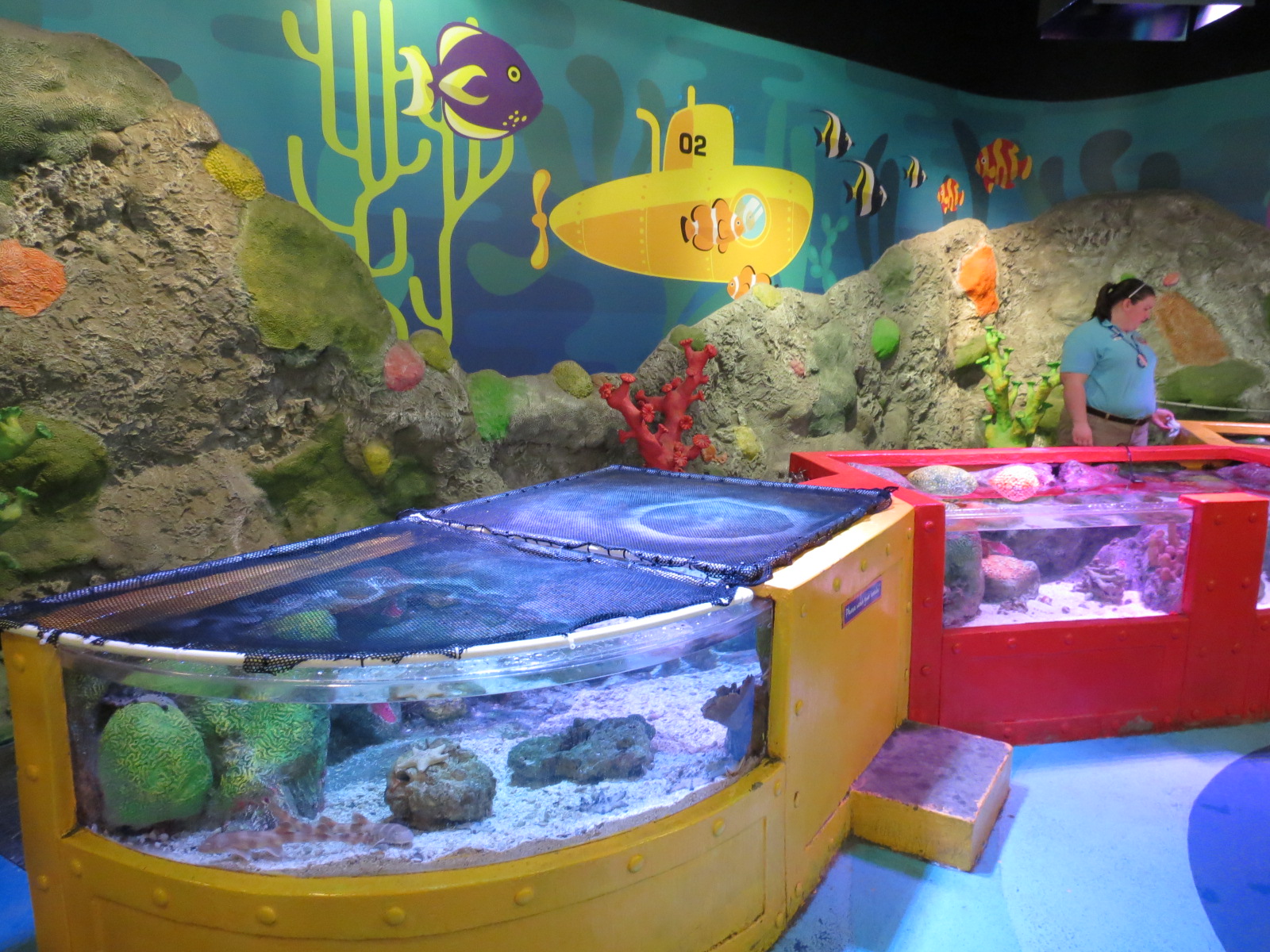 Rockpools/Touch A Creature