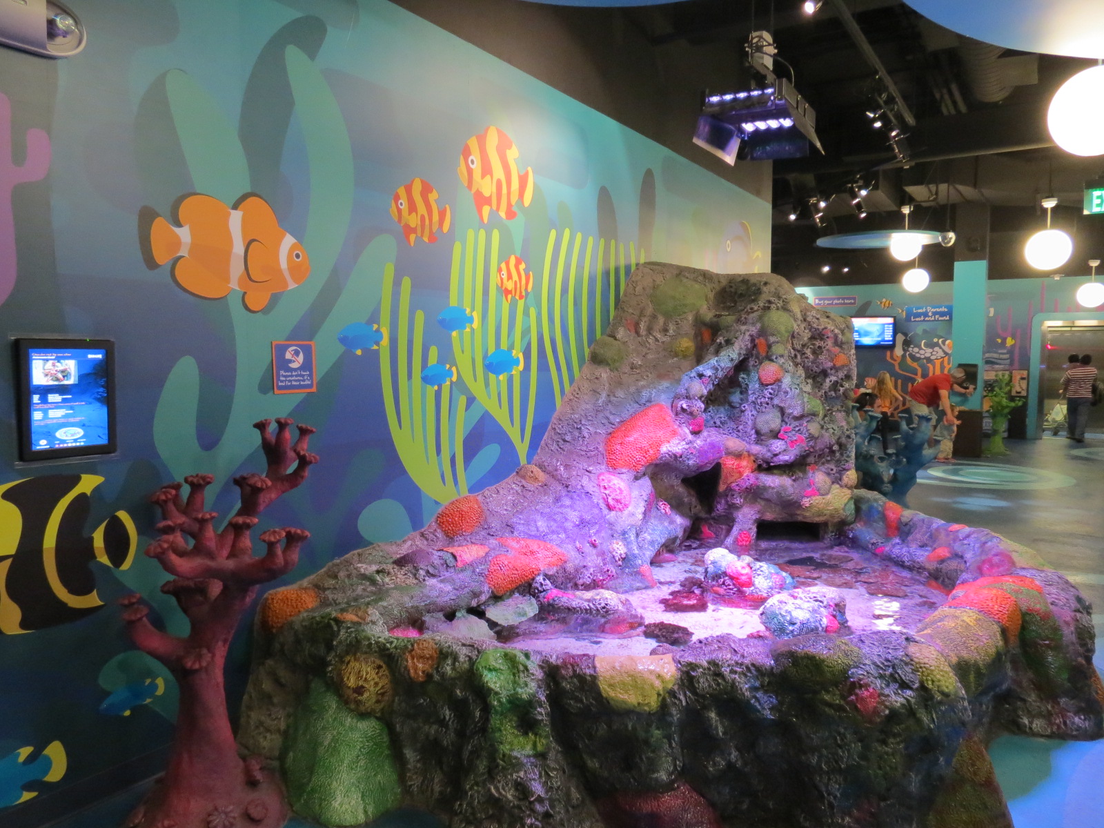 Rockpools/Touch A Creature