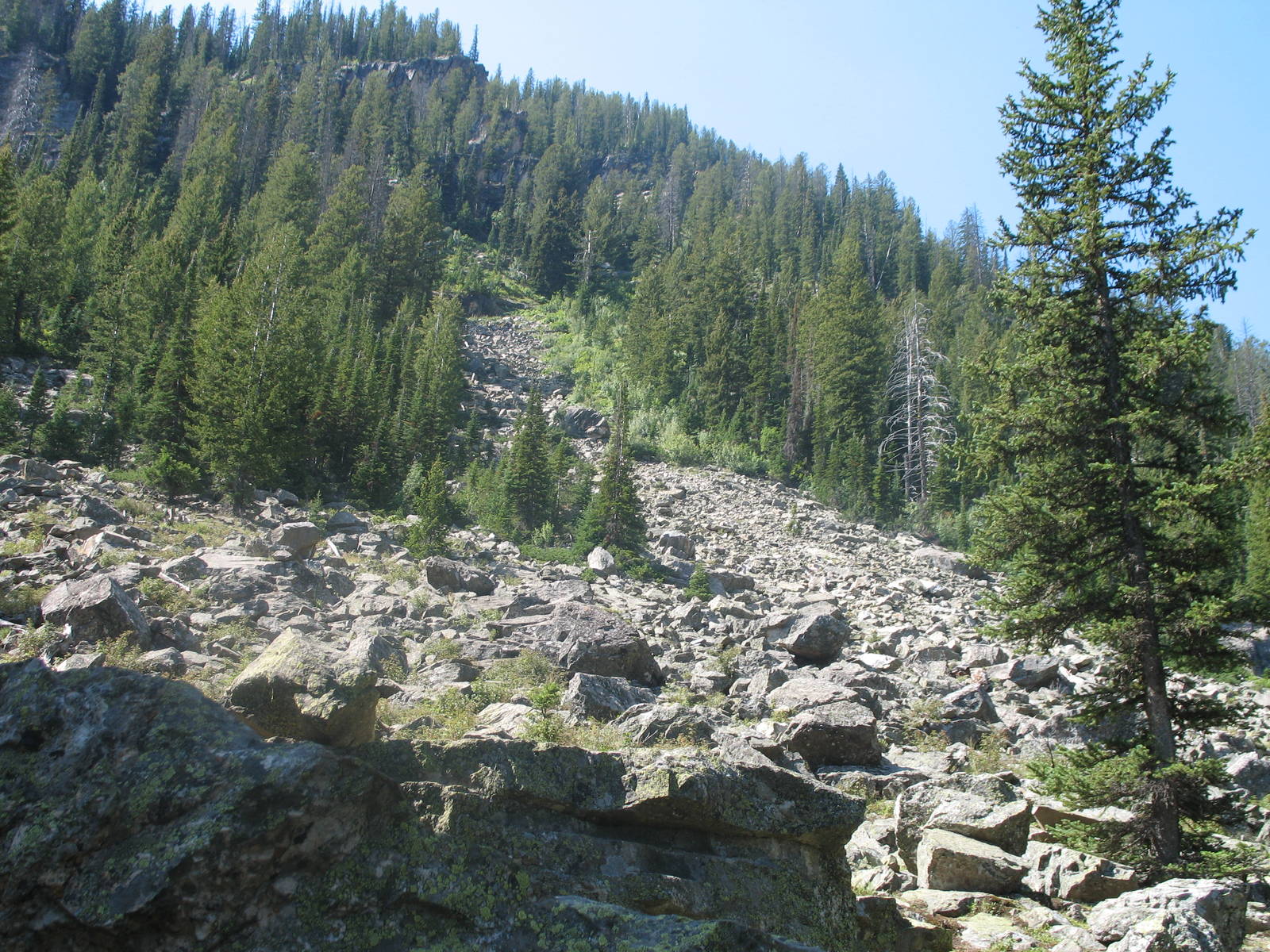 Rockslide in Grand Teton