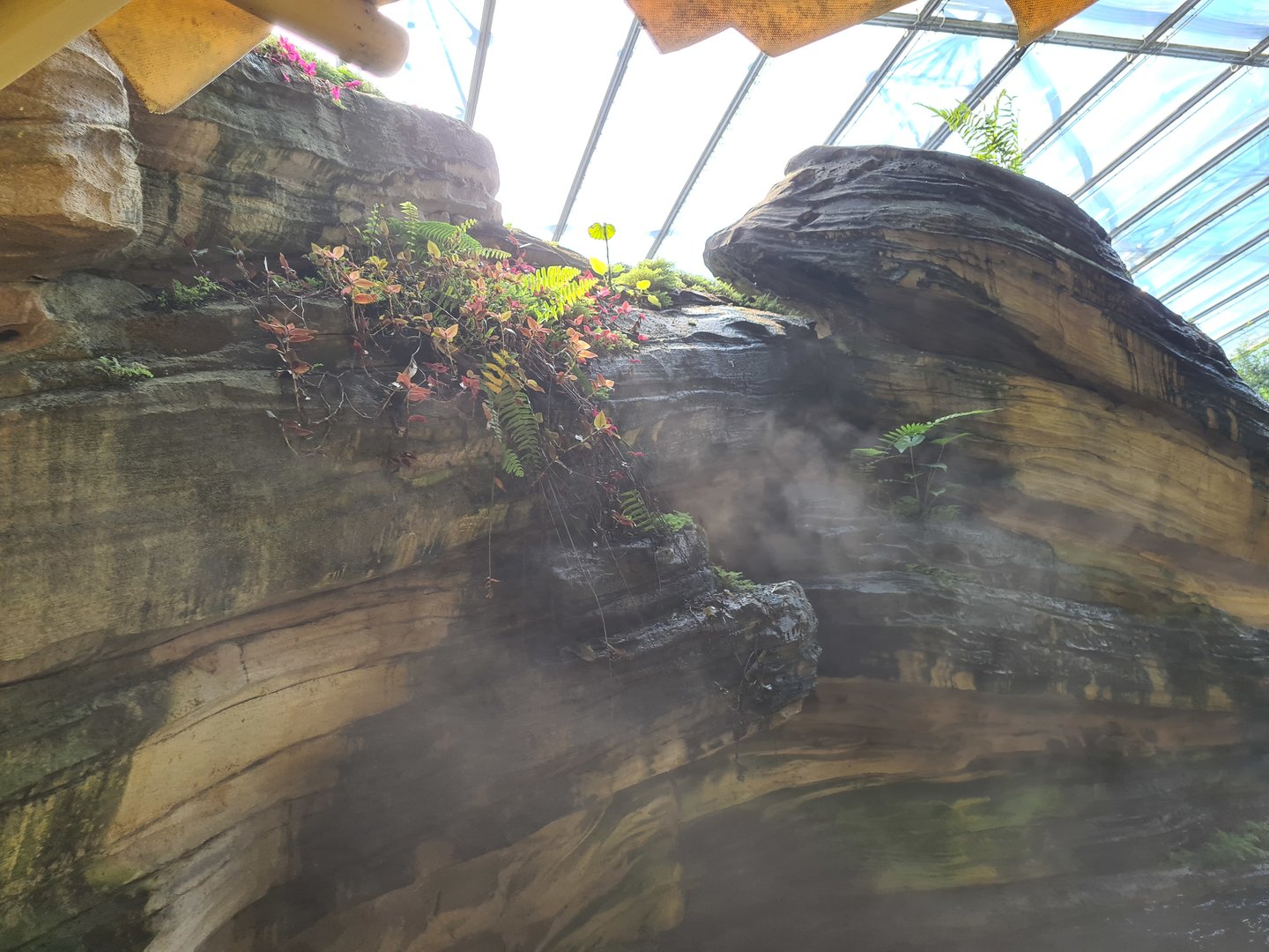 Rockwork in Rimbula river boat ride