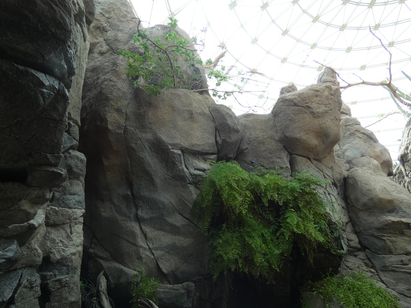 Rockwork in the desert dome