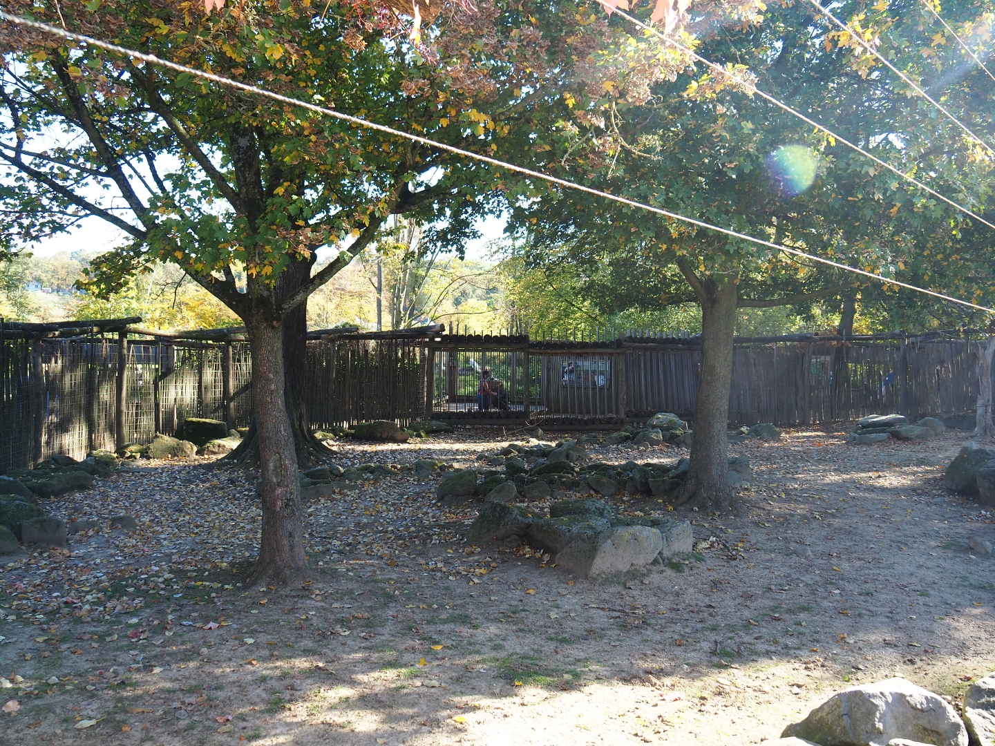 Rocky and foresty section of the savanna paddock (Oct 13th, 2018)