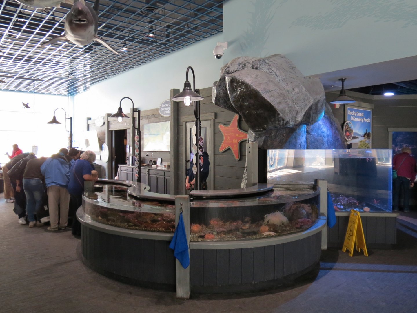 Rocky Coast Discovery Pools