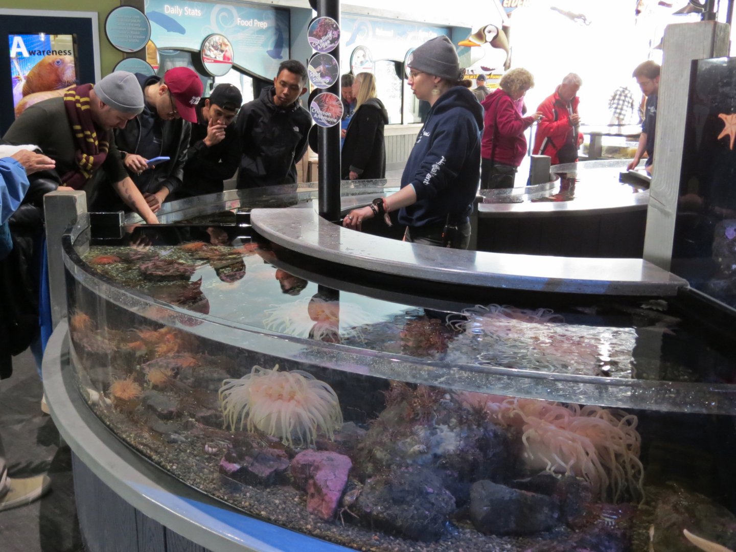 Rocky Coast Discovery Pools