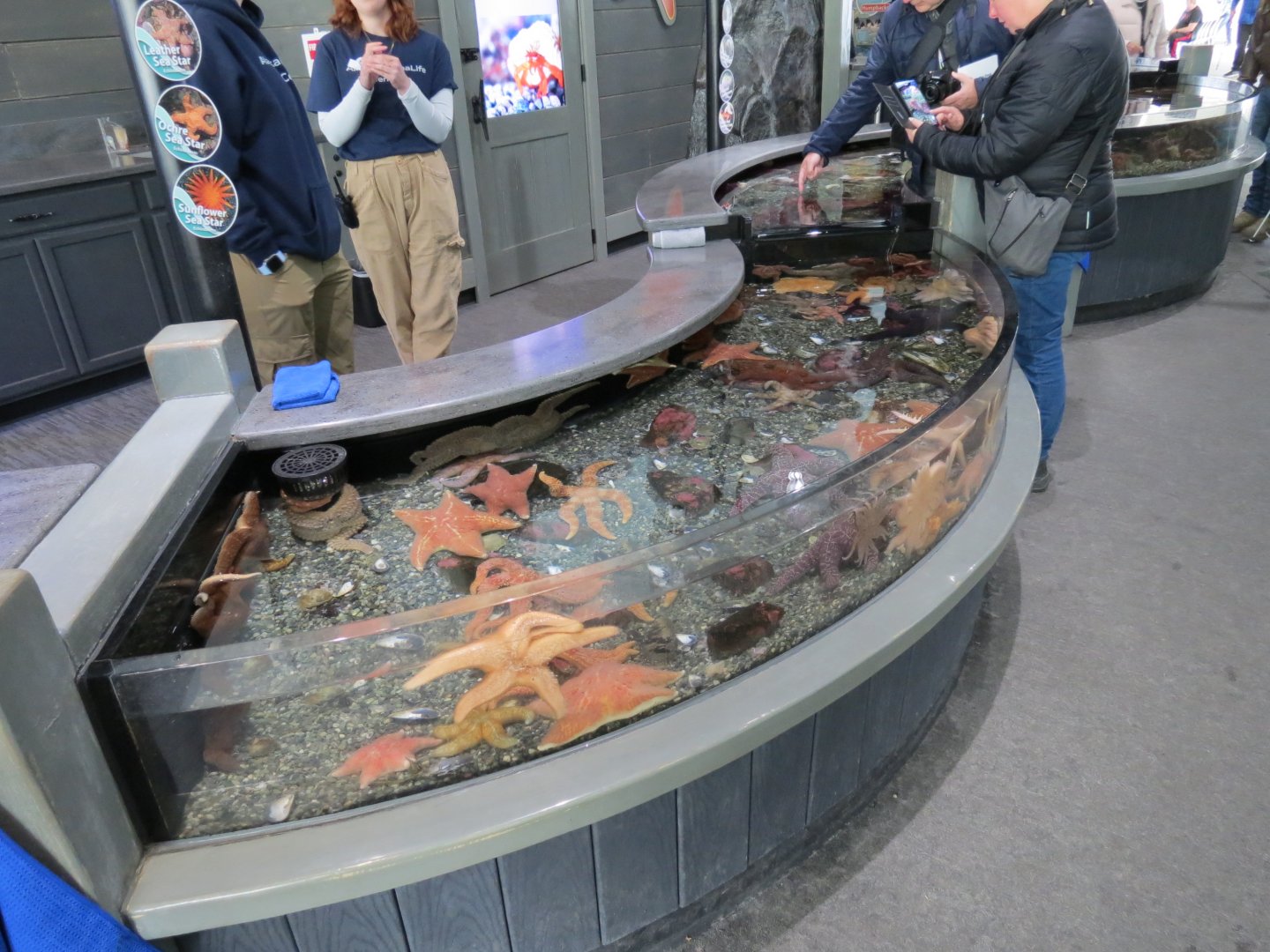 Rocky Coast Discovery Pools