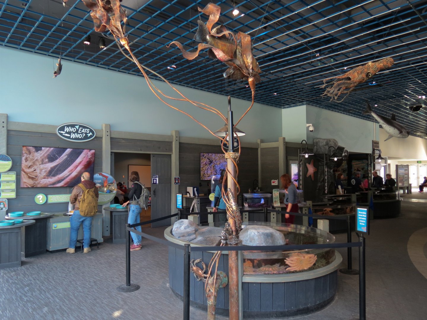 Rocky Coast Discovery Pools