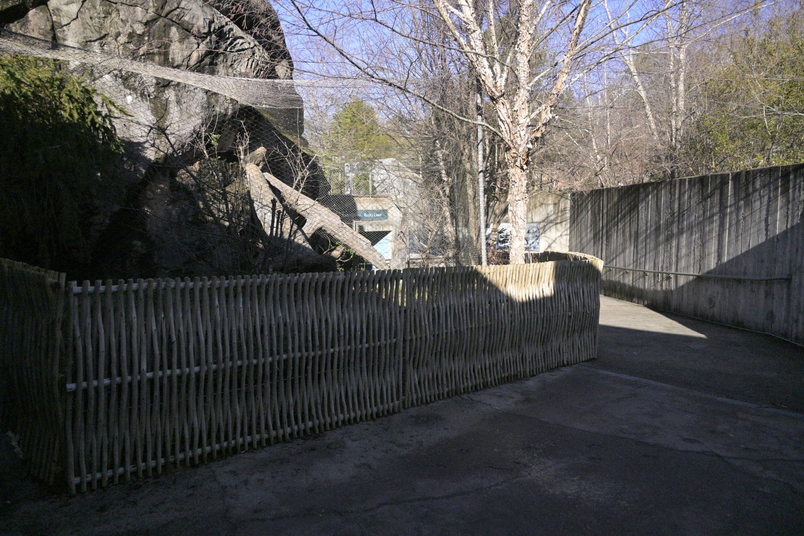 Rocky Coast - New Barrier in front of Arctic Fox (Vulpes lagopus) Exhibit