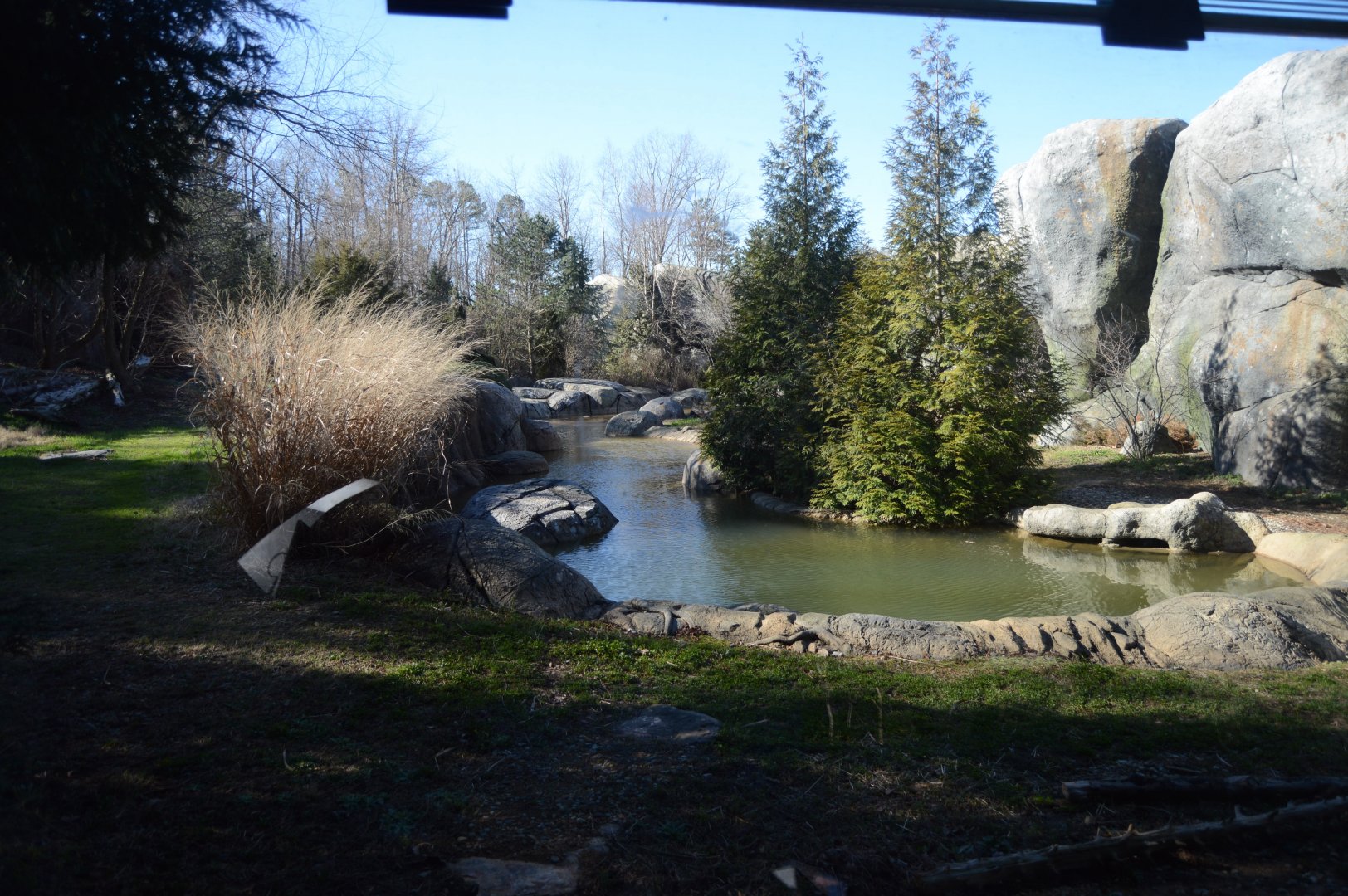 Rocky Coast - Polar Bear Habitat