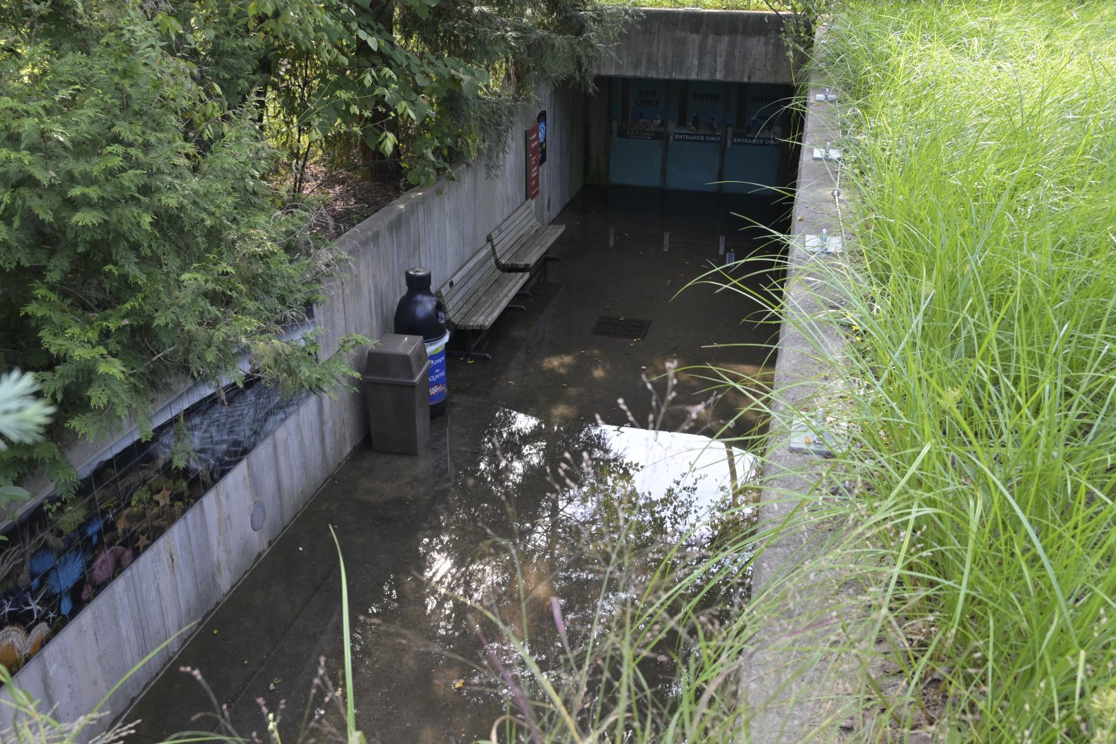Rocky Coast - Standing Water in lower pathway