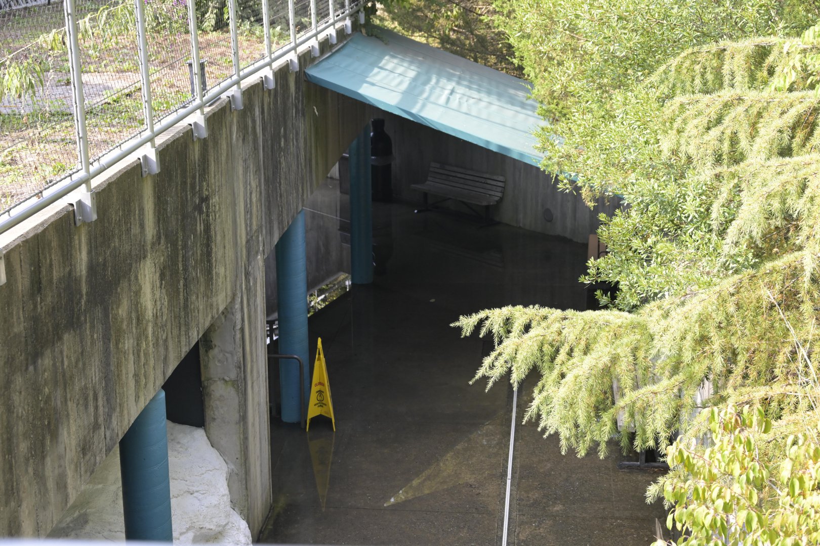 Rocky Coast - Standing Water in lower pathway
