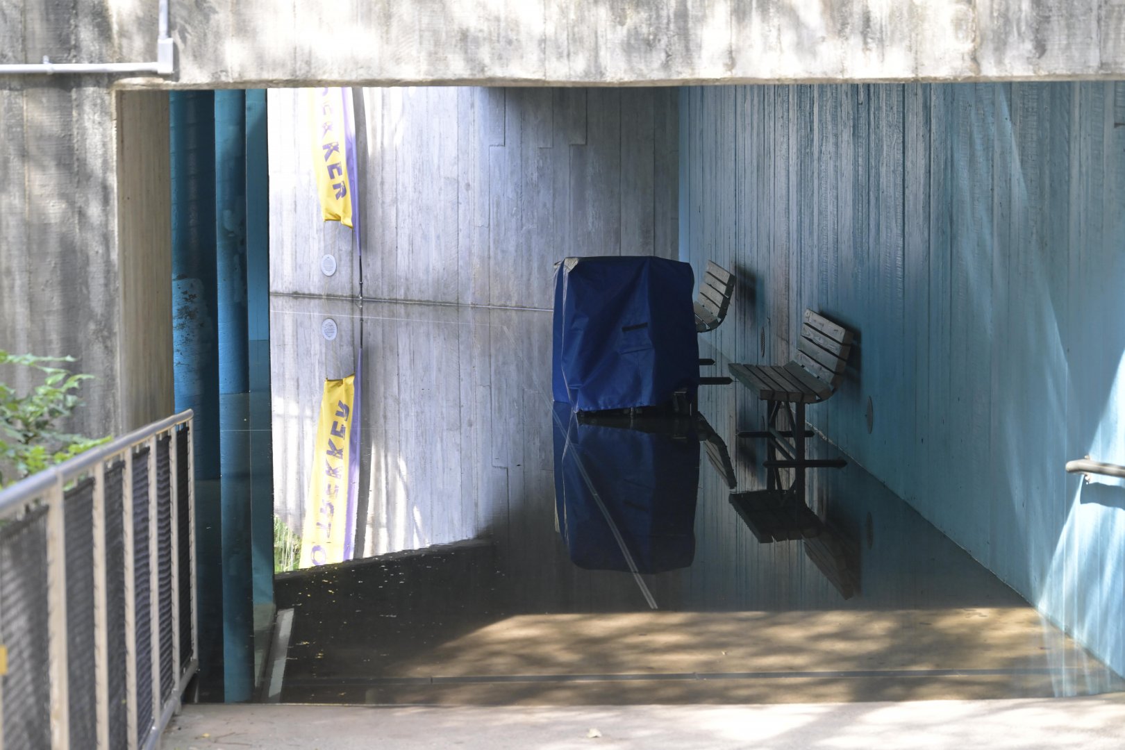 Rocky Coast - Standing Water in lower pathway