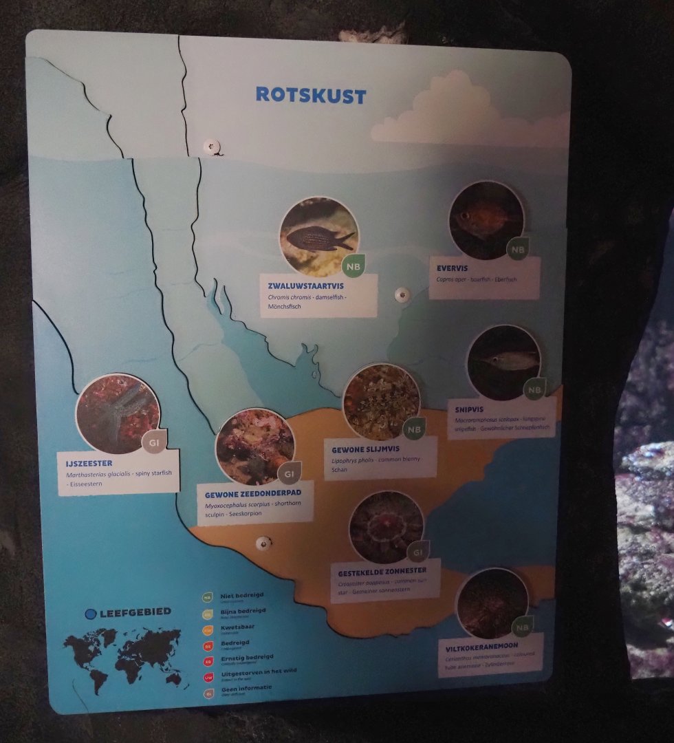 Rocky coast tank signage, 2024-06-30