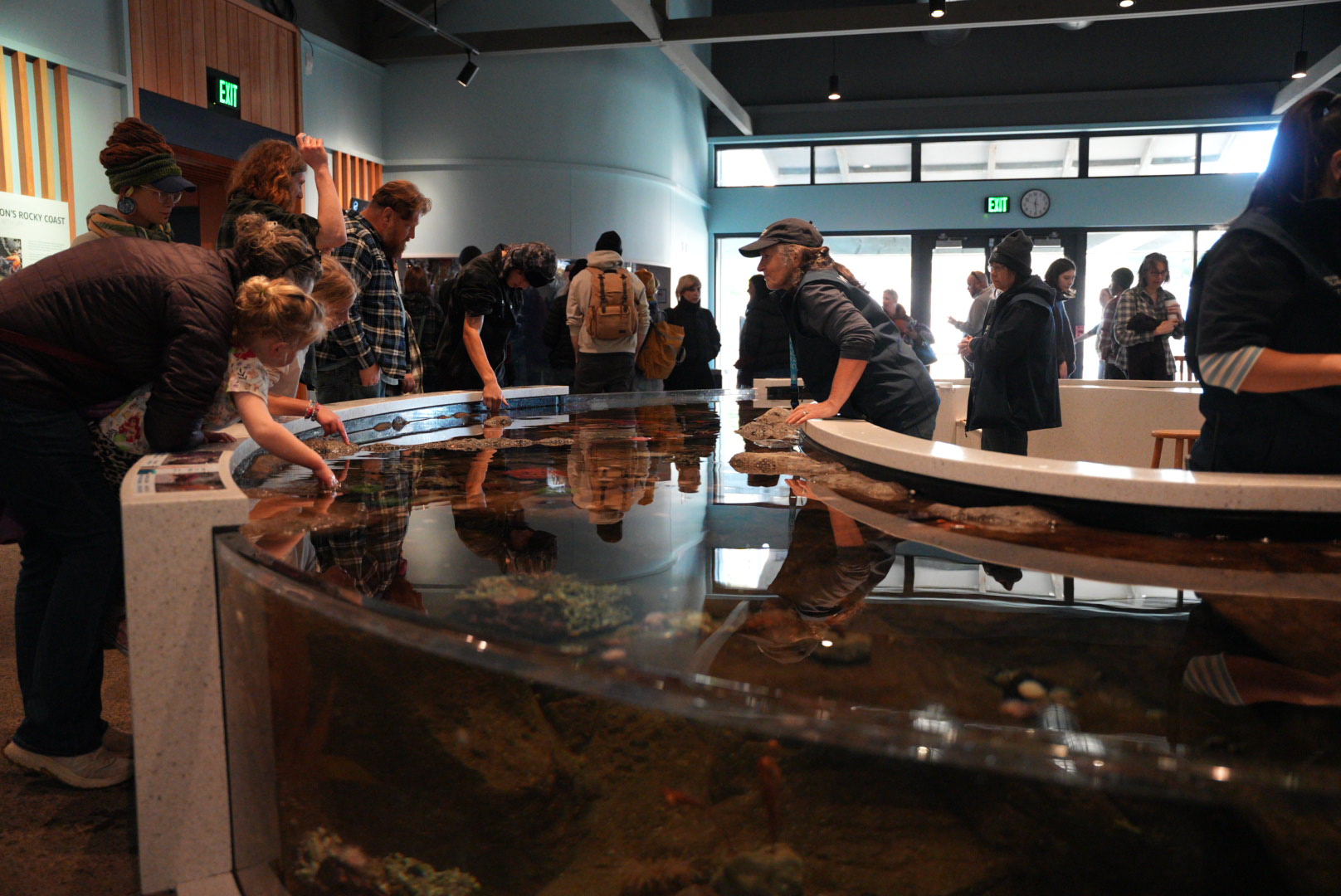 Rocky Coast Touch Pool