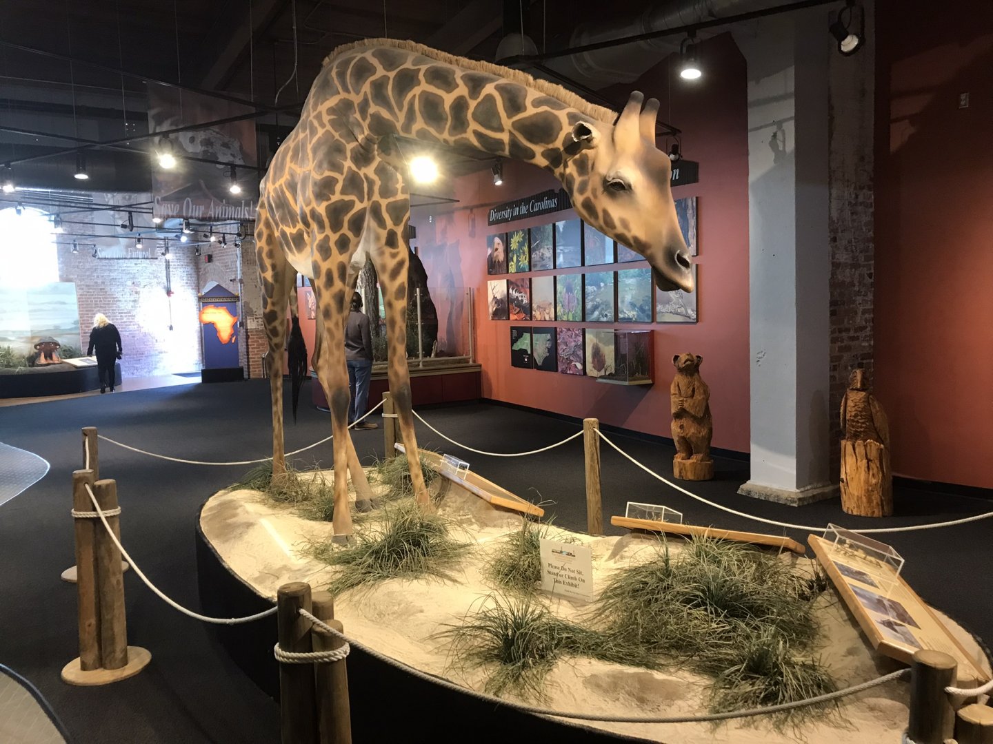 Rocky Mount Children's Museum: Giraffe Model