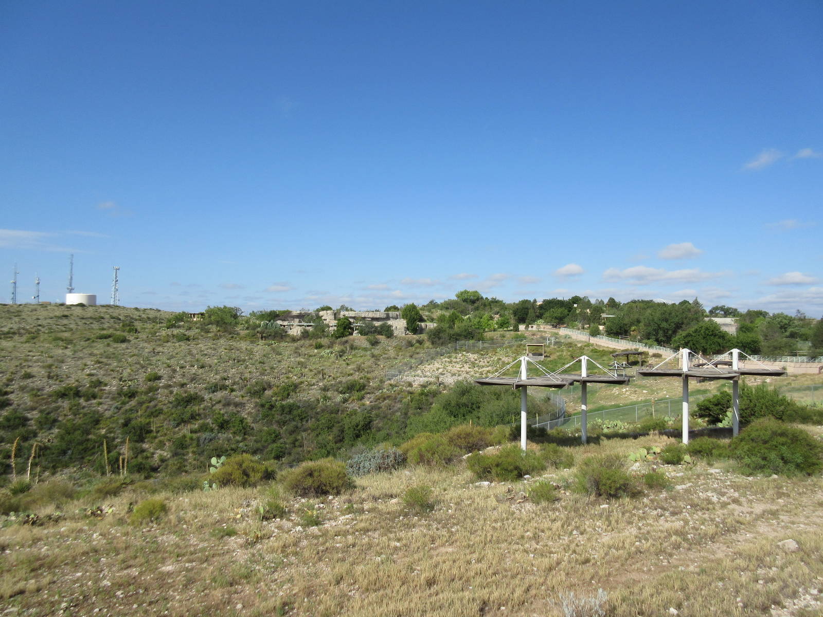 Rocky Mountain Elk Exhibit #1