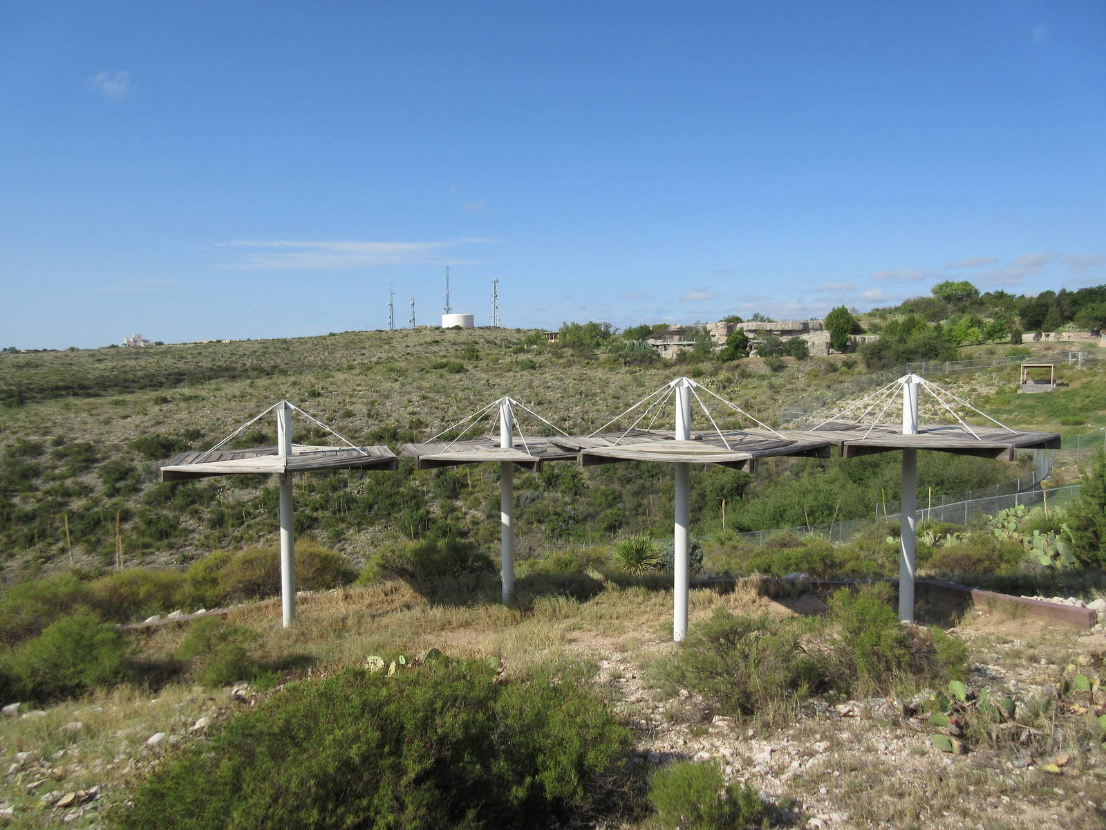 Rocky Mountain Elk Exhibit #1