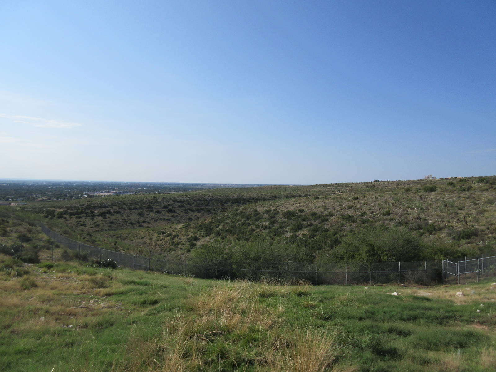 Rocky Mountain Elk Exhibit #2