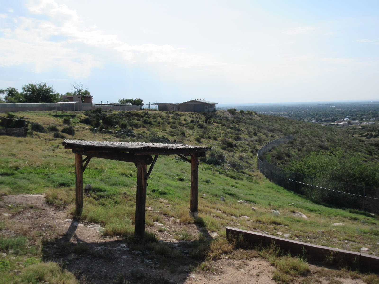 Rocky Mountain Elk Exhibit #2