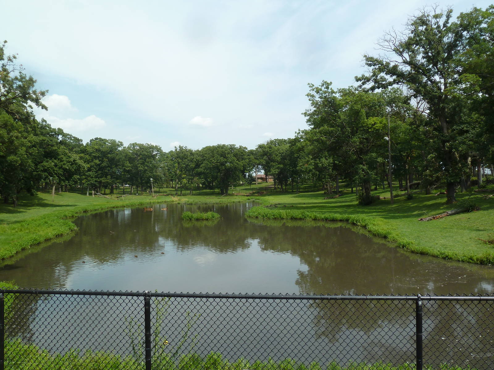 Rocky Mountain Elk Exhibit