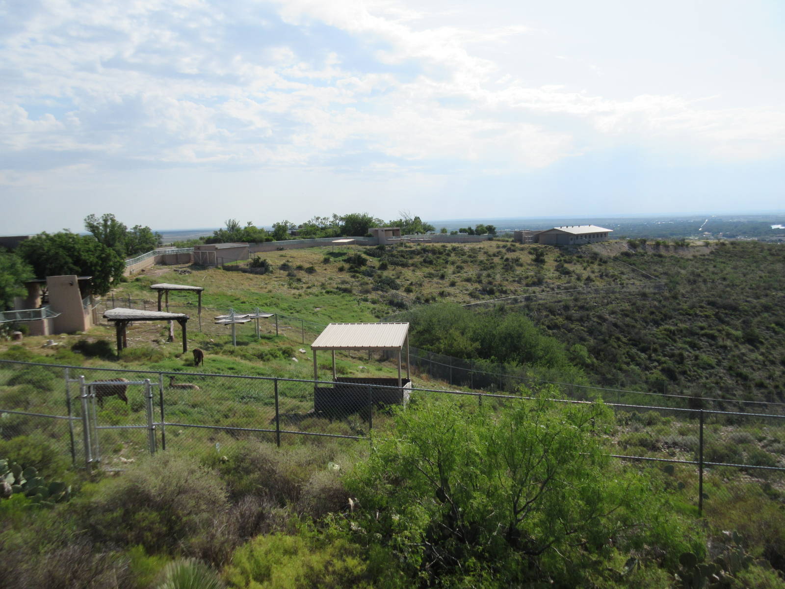 Rocky Mountain Elk Exhibits (three habitats)
