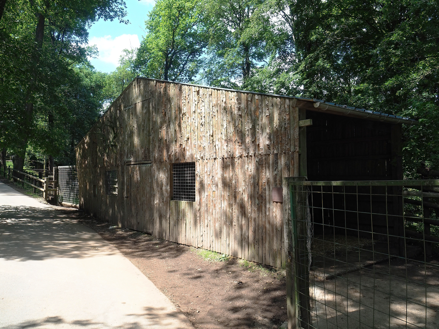 Rocky Mountain goat and Domestic reindeer paddock, 2023-06-24