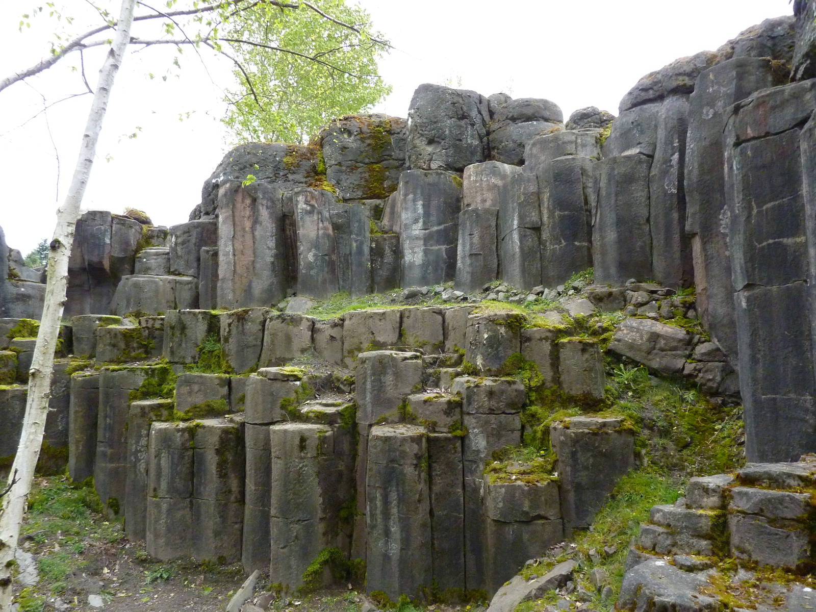 Rocky Mountain Goat/Arctic Fox Exhibit