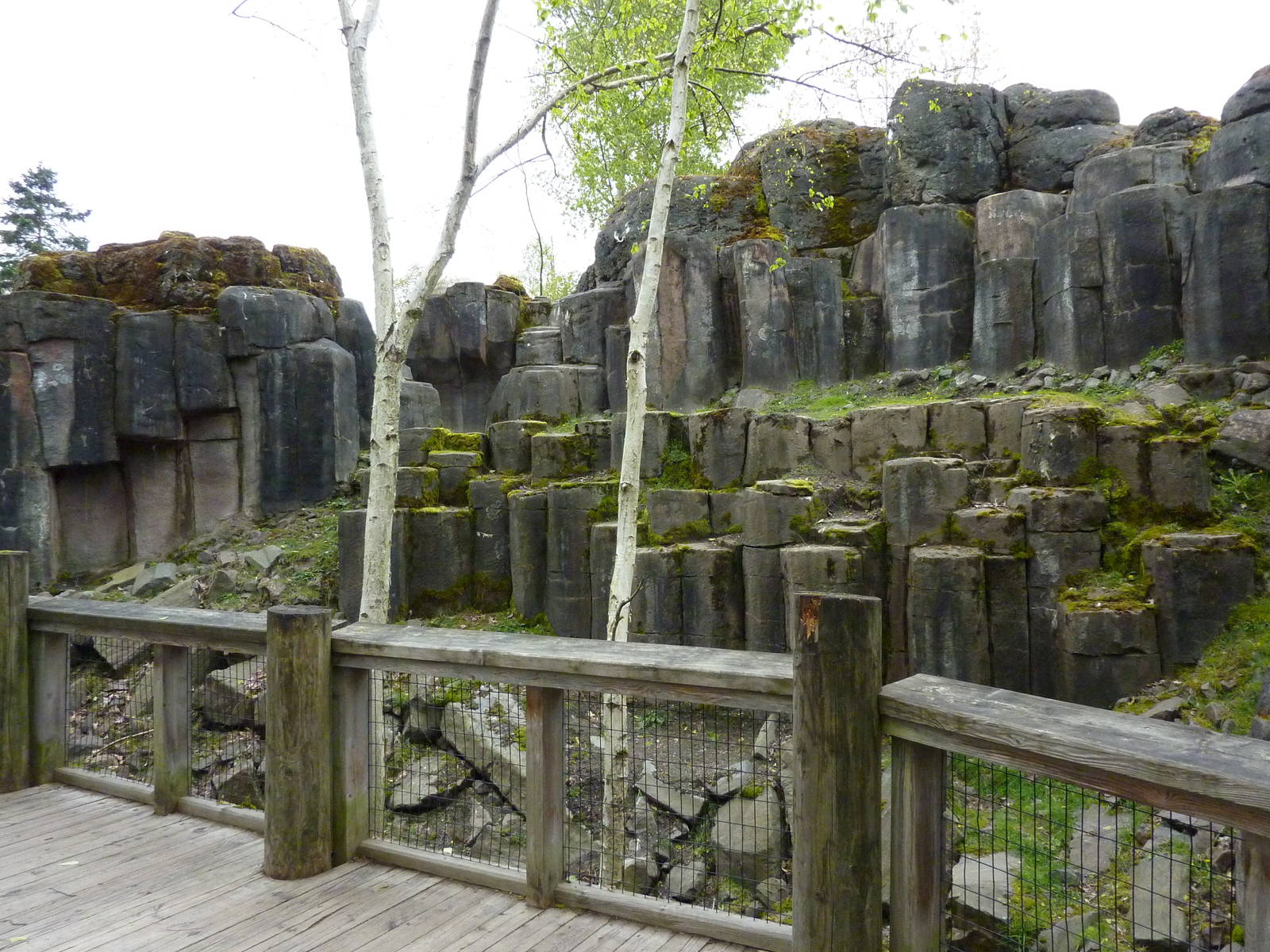 Rocky Mountain Goat/Arctic Fox Exhibit