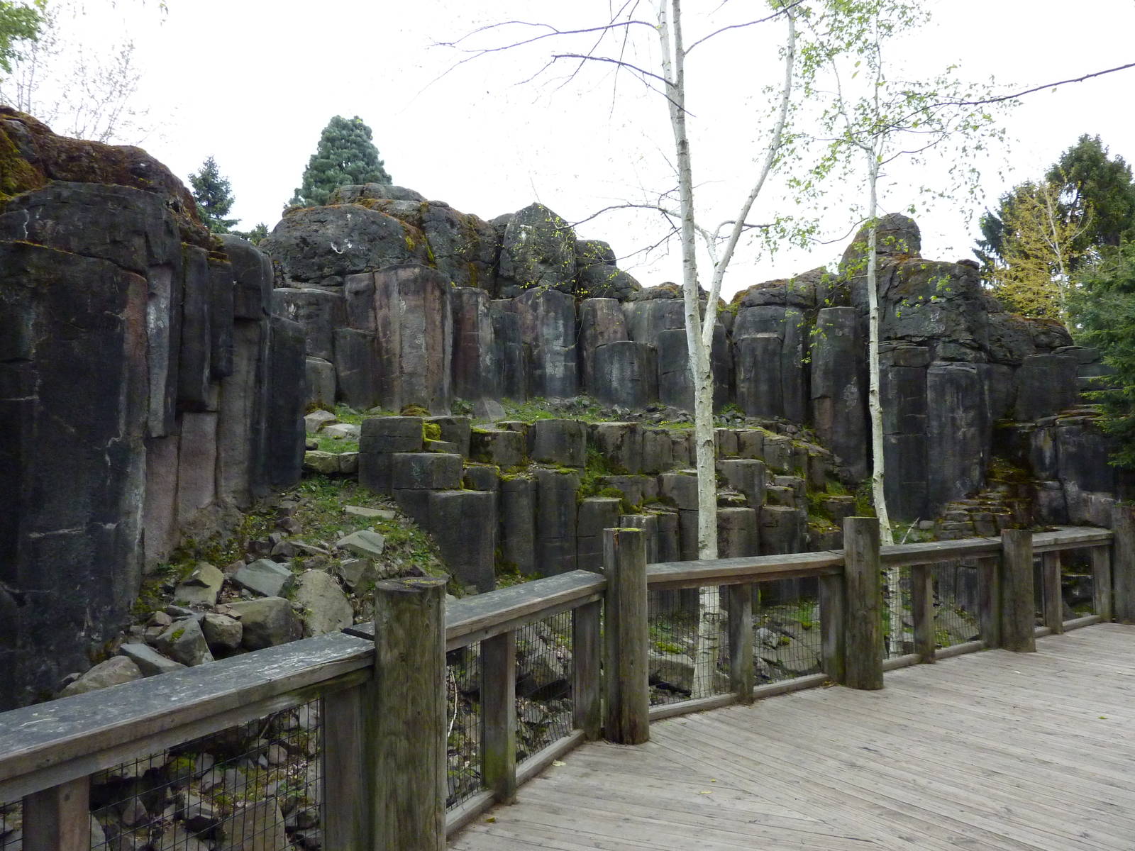Rocky Mountain Goat/Arctic Fox Exhibit