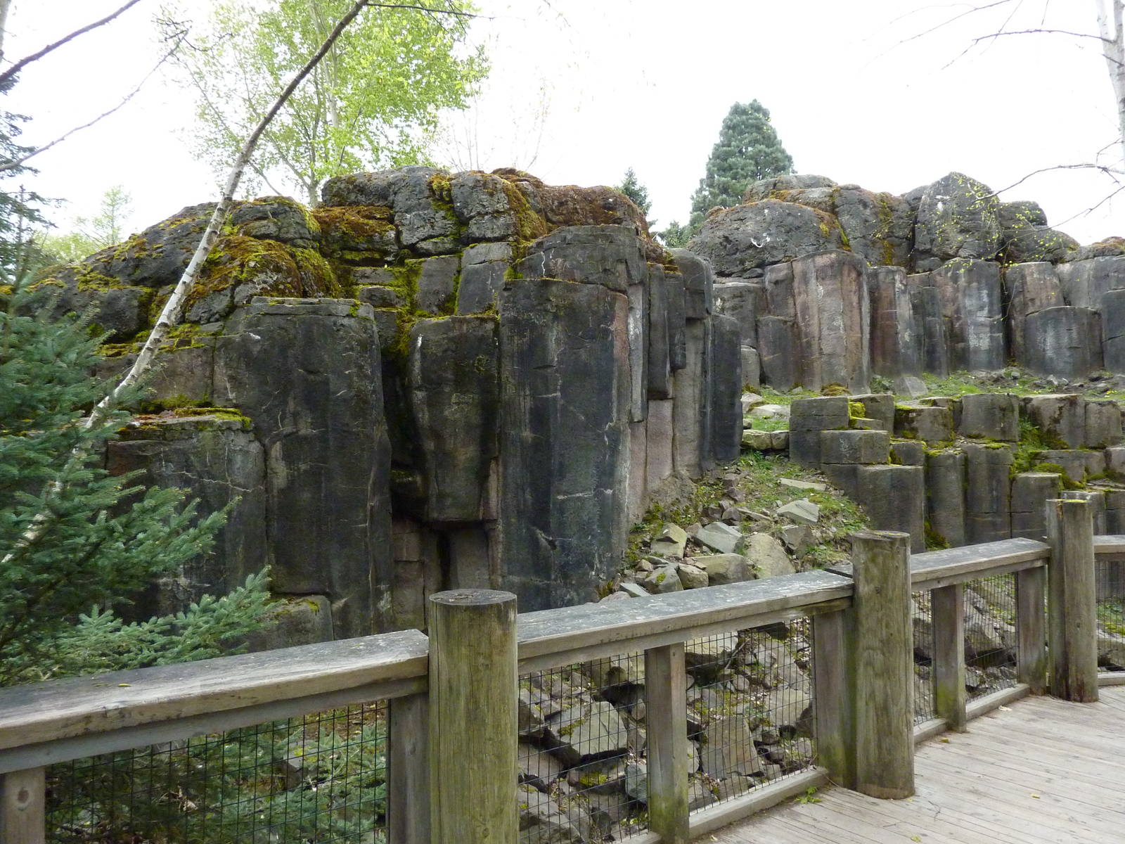 Rocky Mountain Goat/Arctic Fox Exhibit