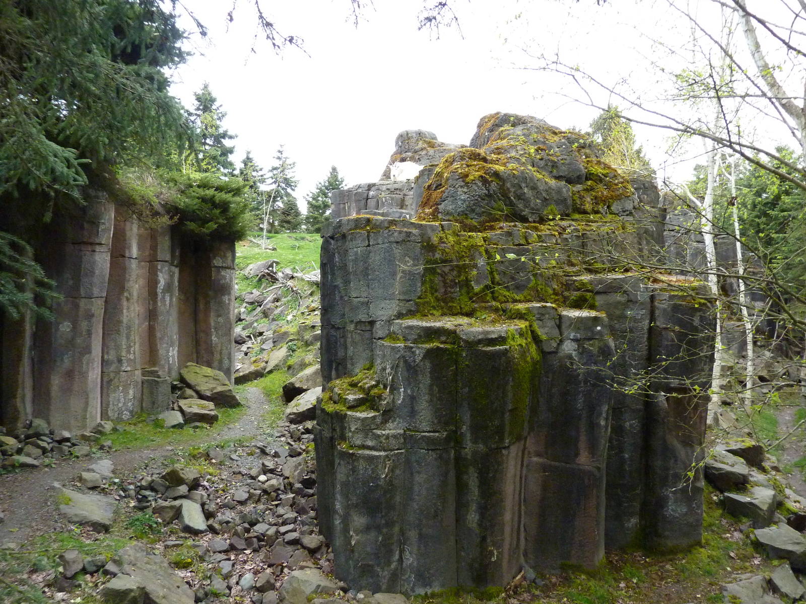 Rocky Mountain Goat/Arctic Fox Exhibit