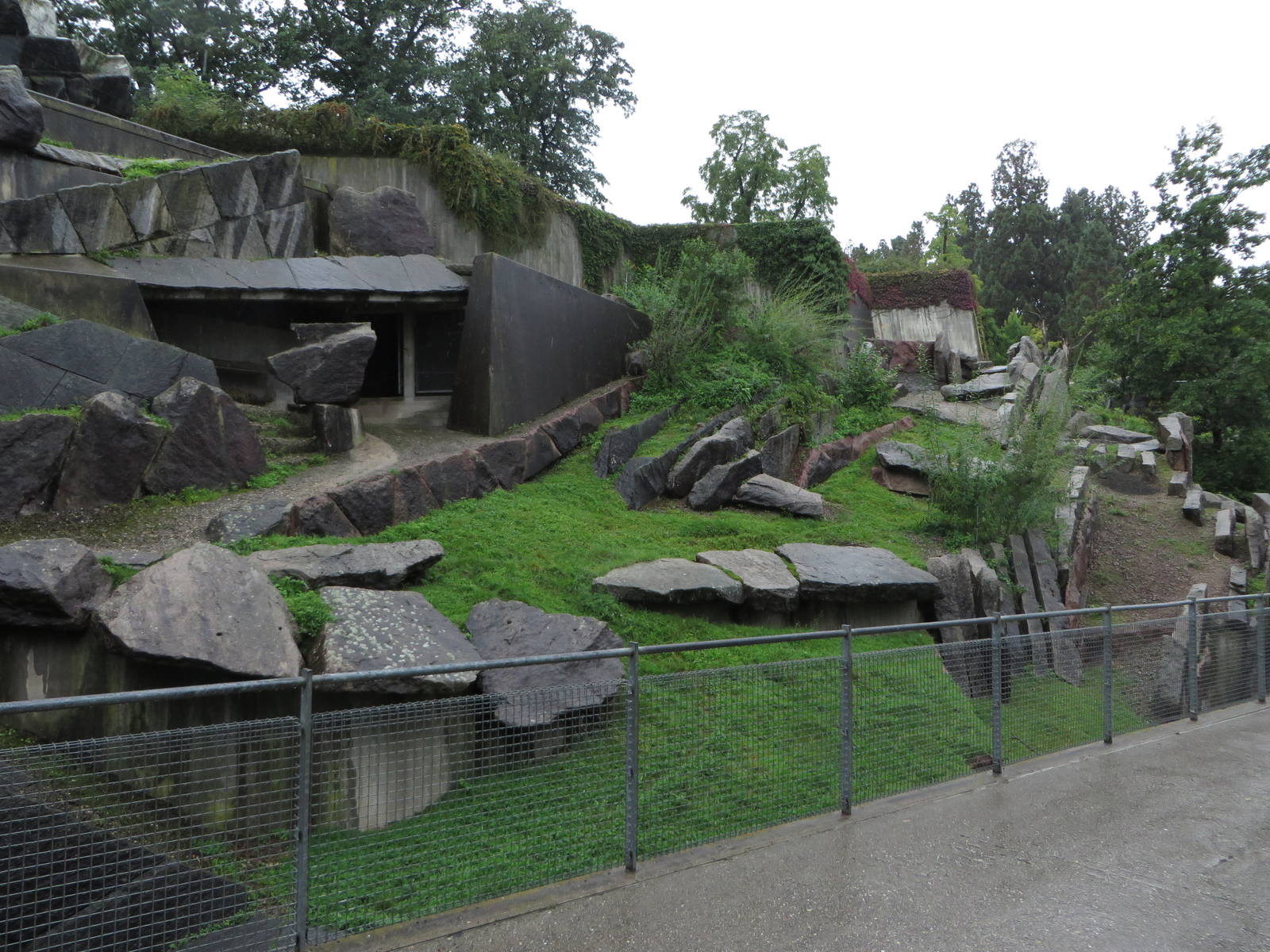 Rocky mountain goat enclosure