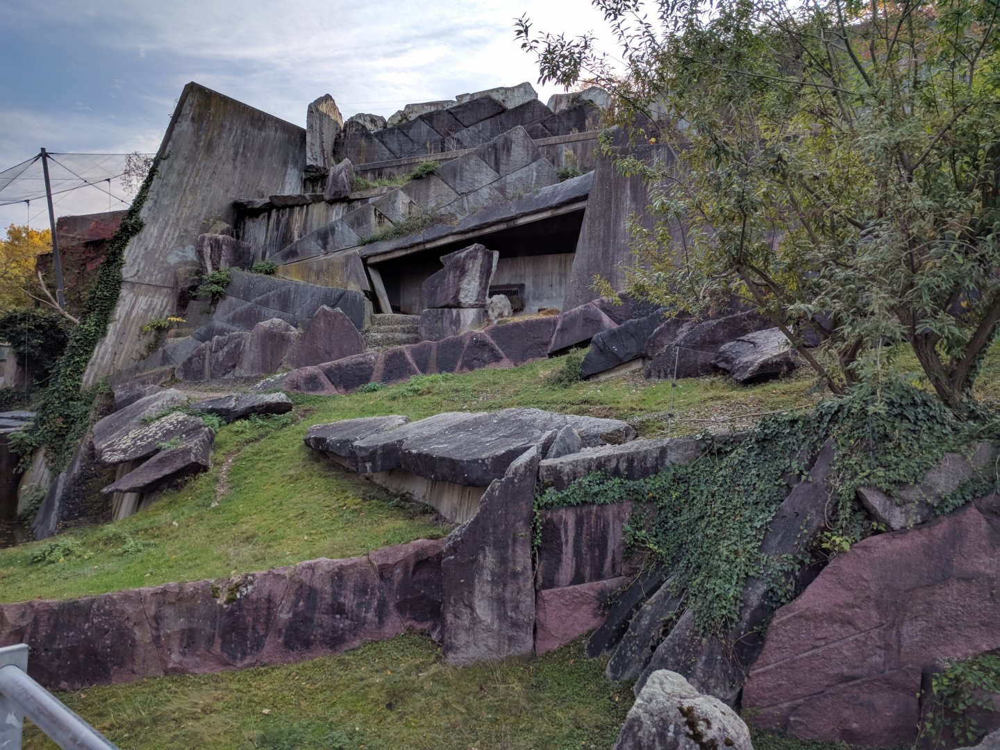 Rocky mountain goat Enclosure