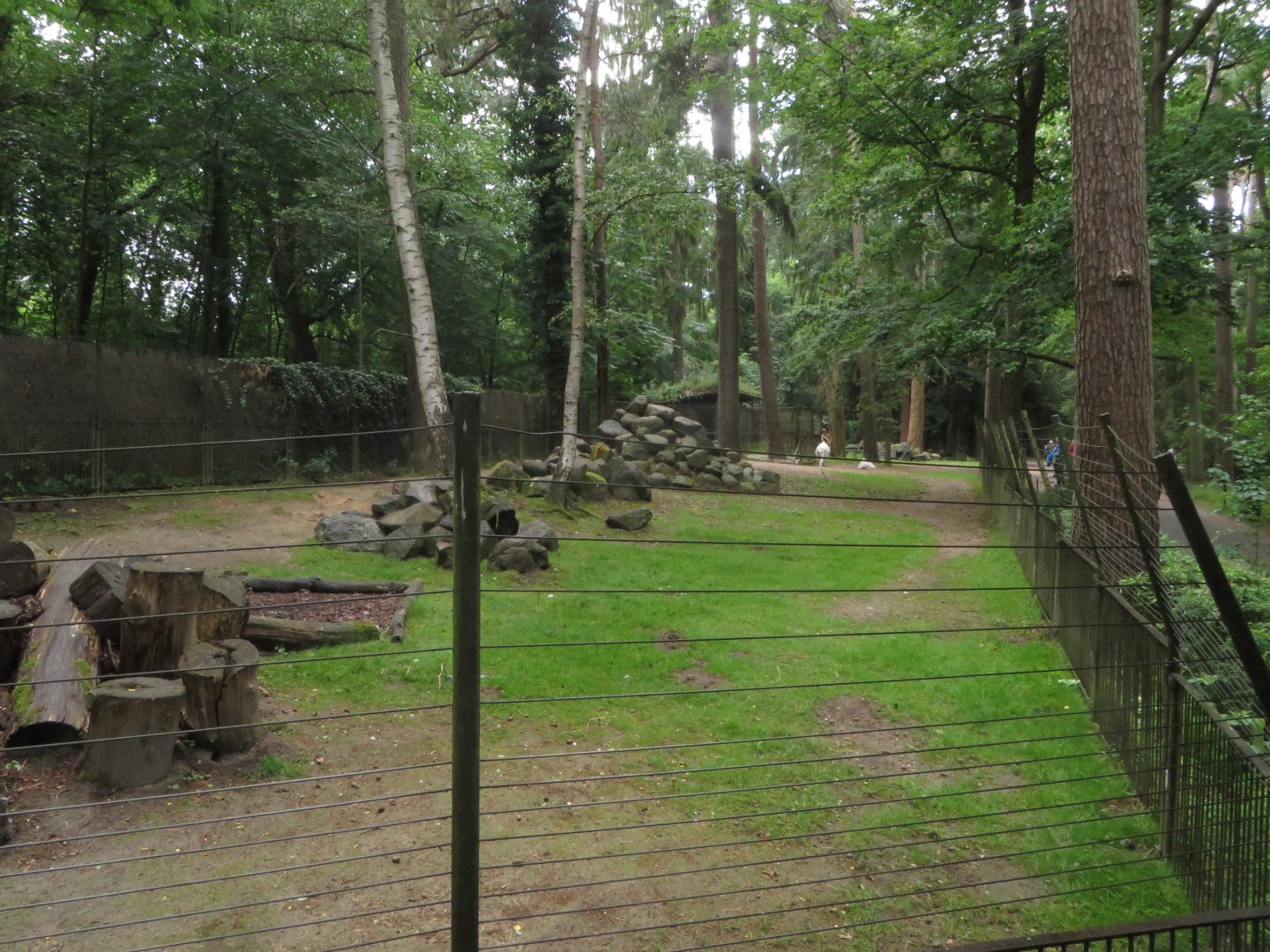 Rocky mountain goat enclosure