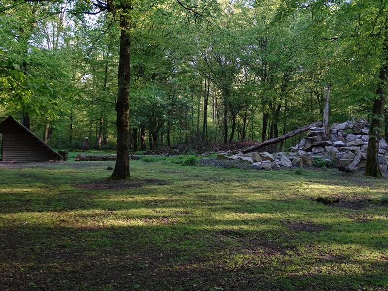 Rocky Mountain goat enclosure