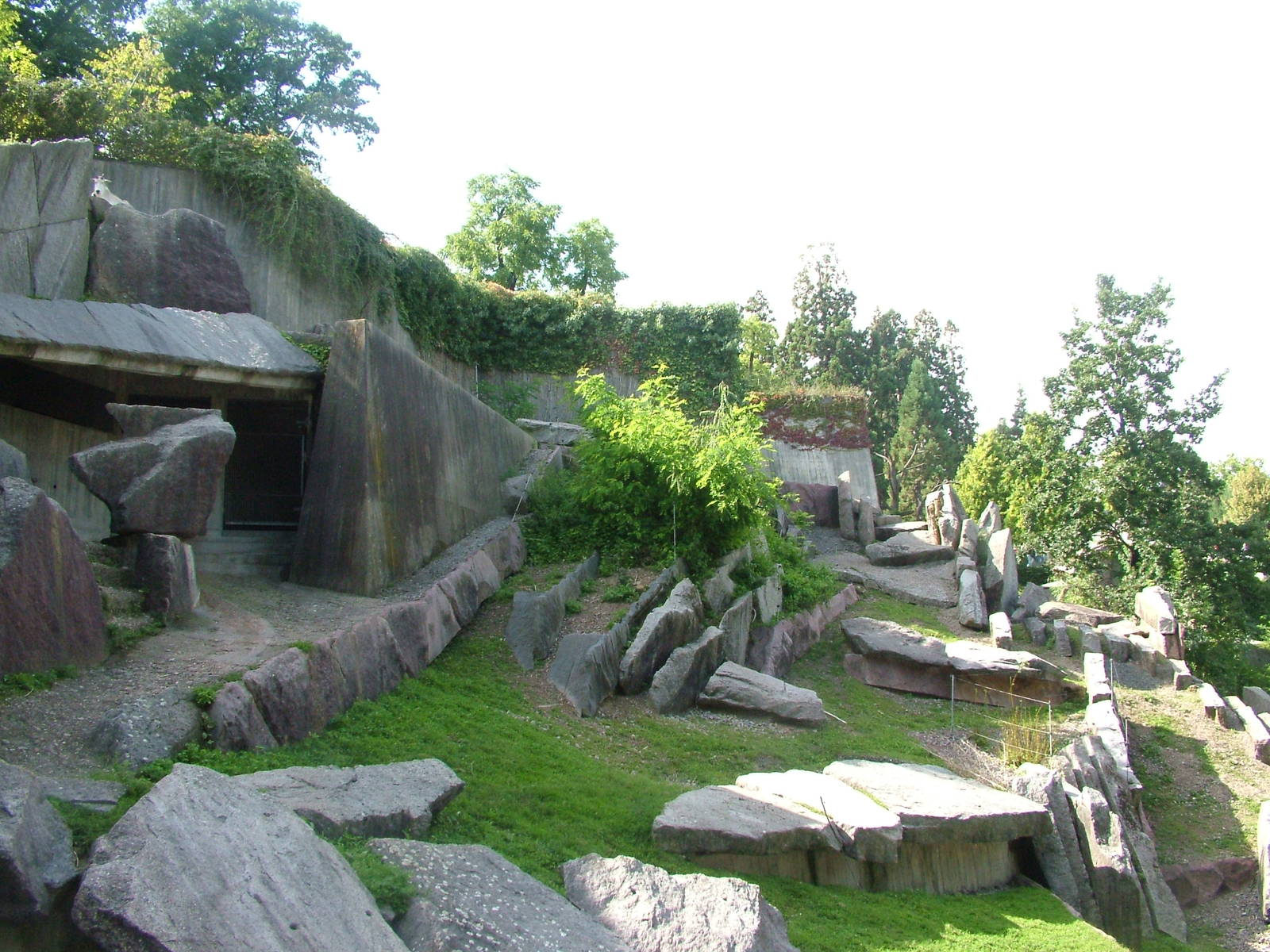 Rocky Mountain Goat Exhibit at Wilhelma, Stuttgart 02/09/10