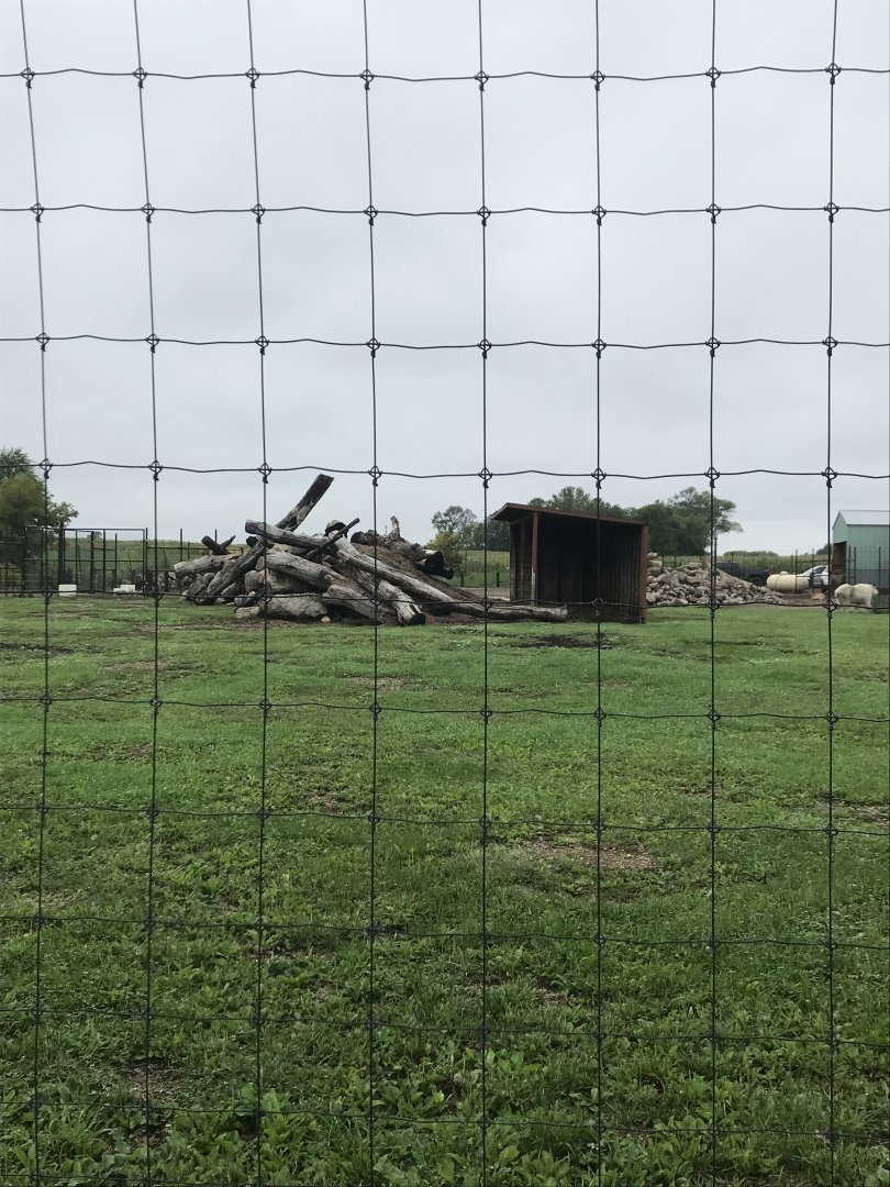 Rocky Mountain Goat Exhibit (With West Caucasian Tur Exhibit in the Background)