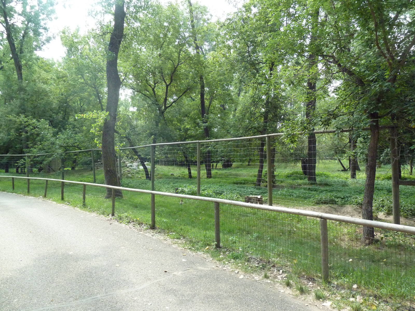 Rocky Mountain Goat Exhibit