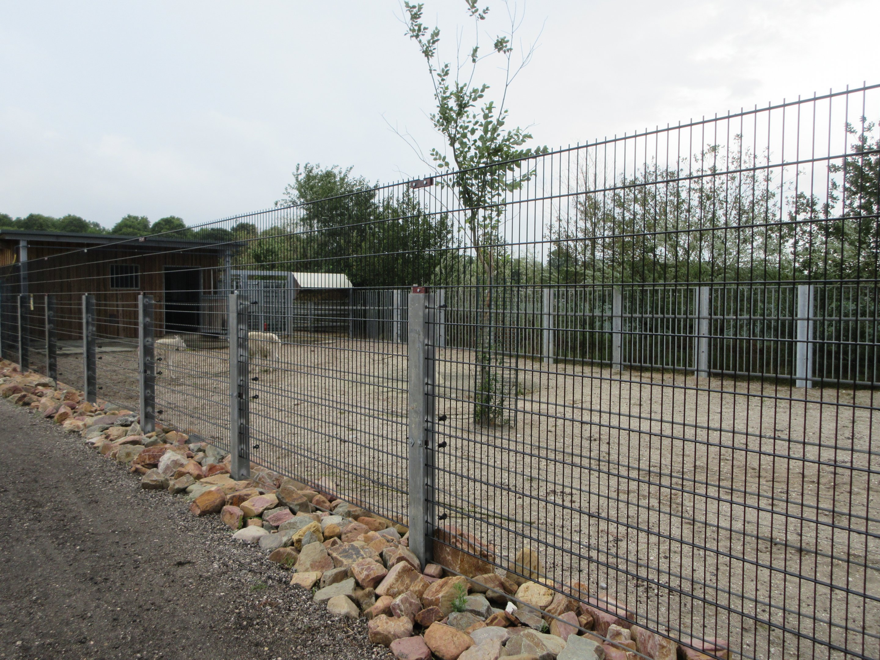 Rocky Mountain Goat Exhibit