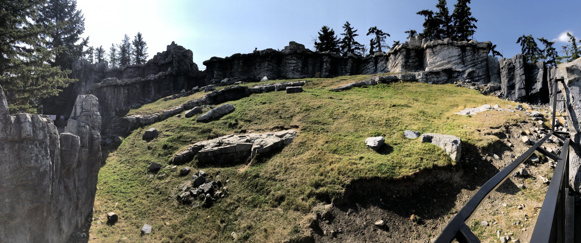 Rocky Mountain Goat Exhibit