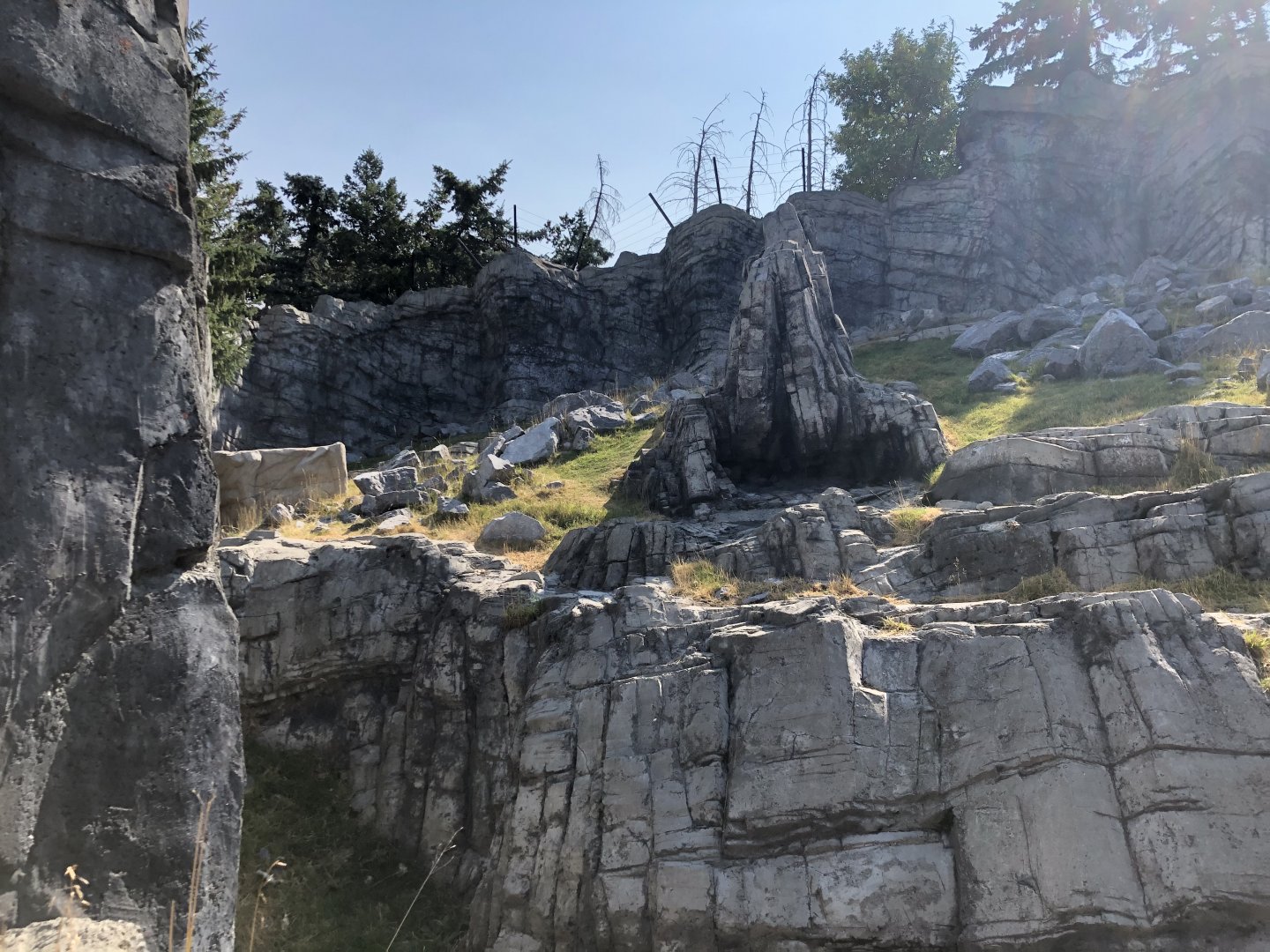 Rocky Mountain Goat Exhibit