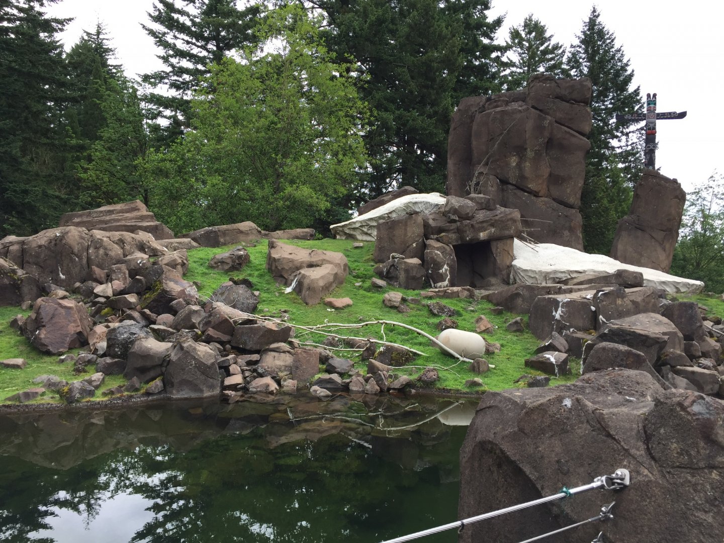 Rocky Mountain Goat Exhibit