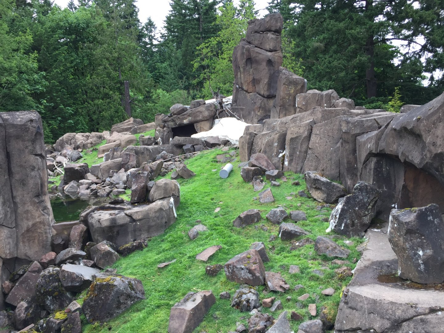 Rocky Mountain Goat Exhibit