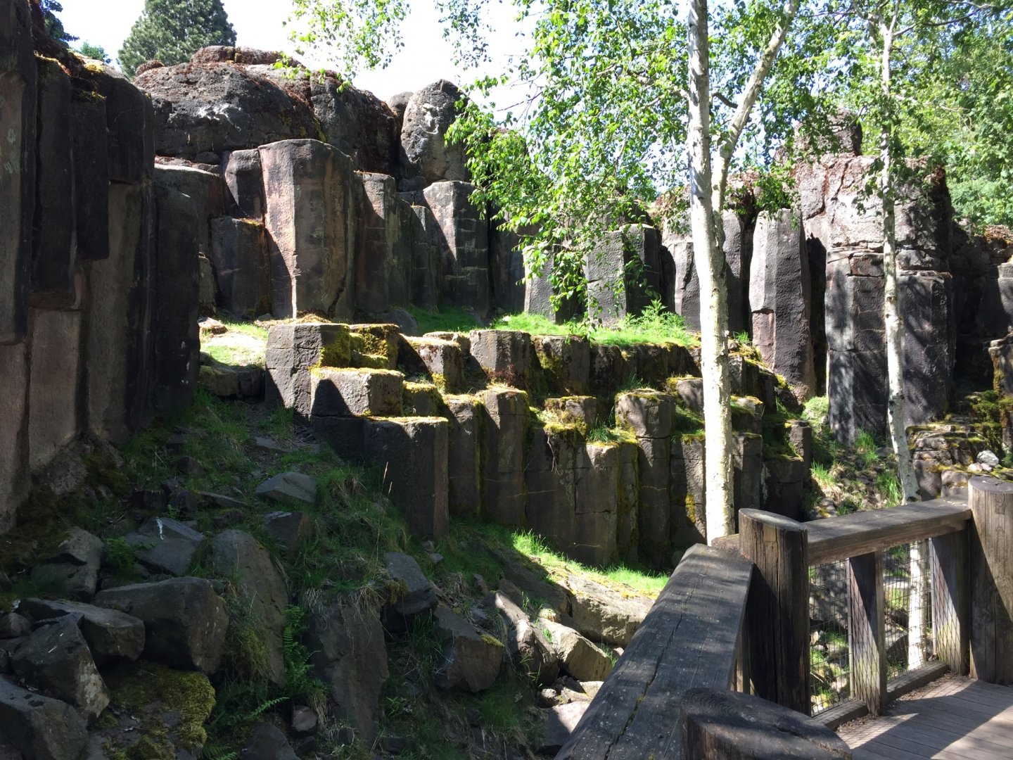 Rocky Mountain Goat Exhibit