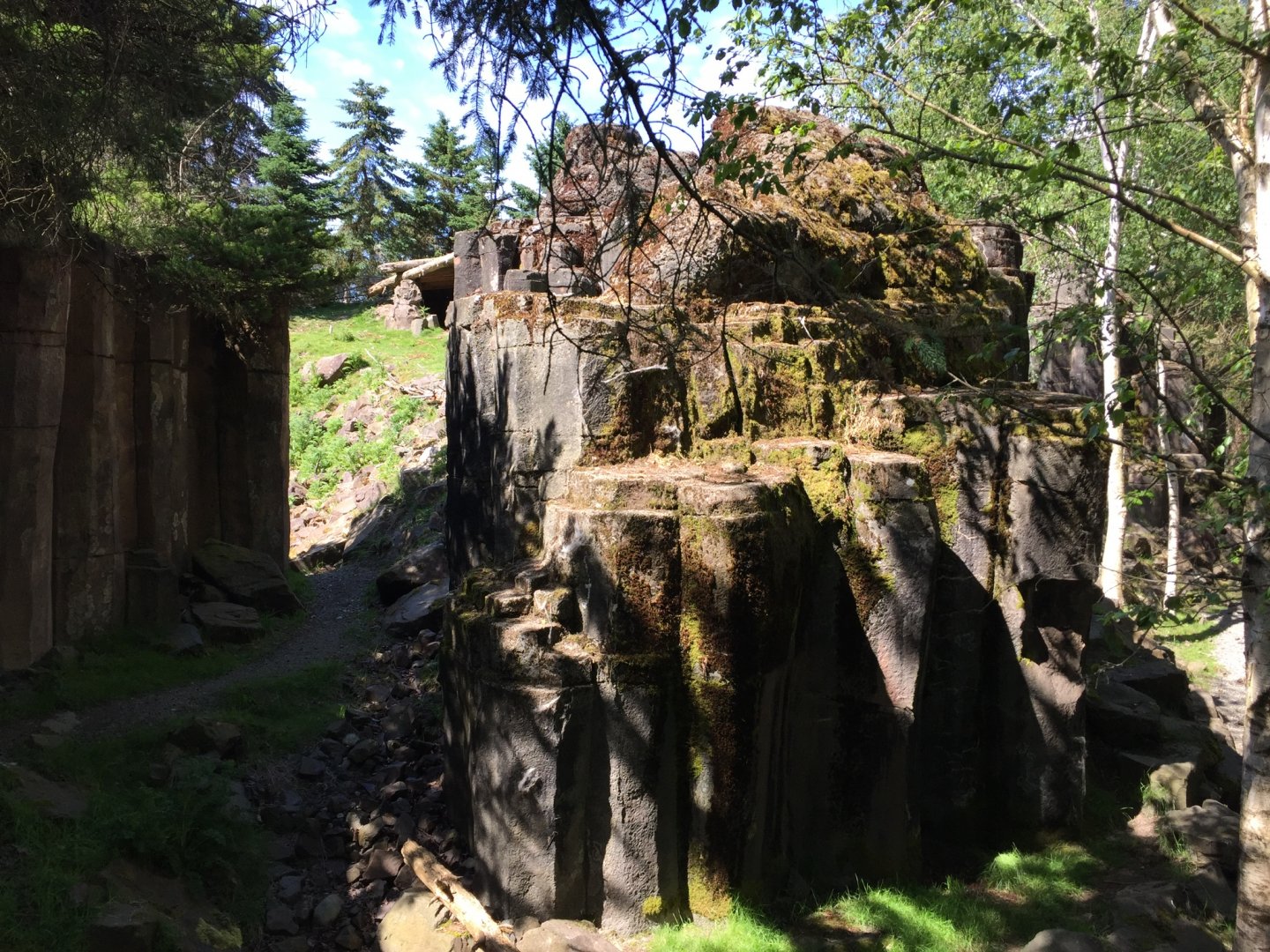 Rocky Mountain Goat Exhibit