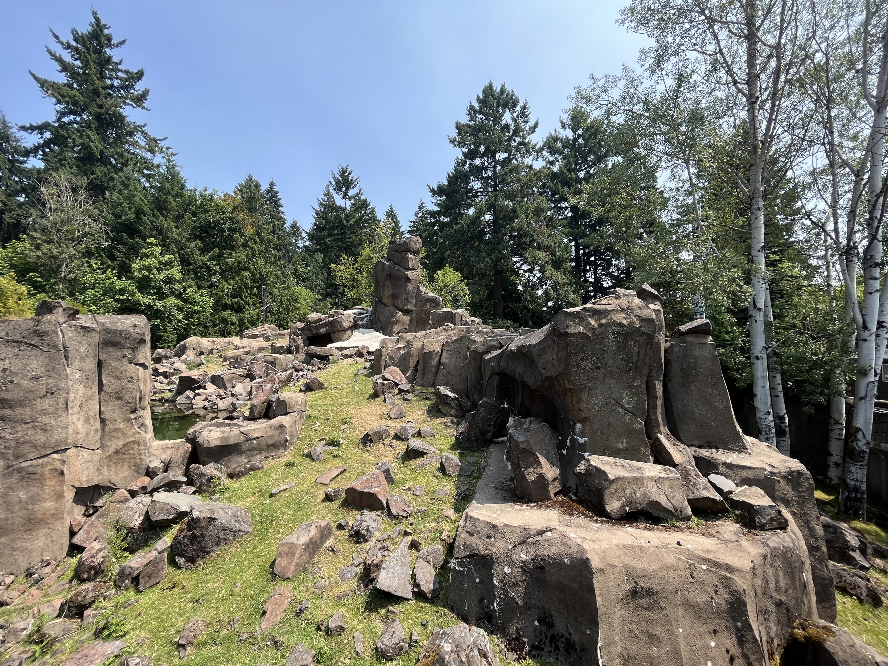 Rocky Mountain Goat Exhibit