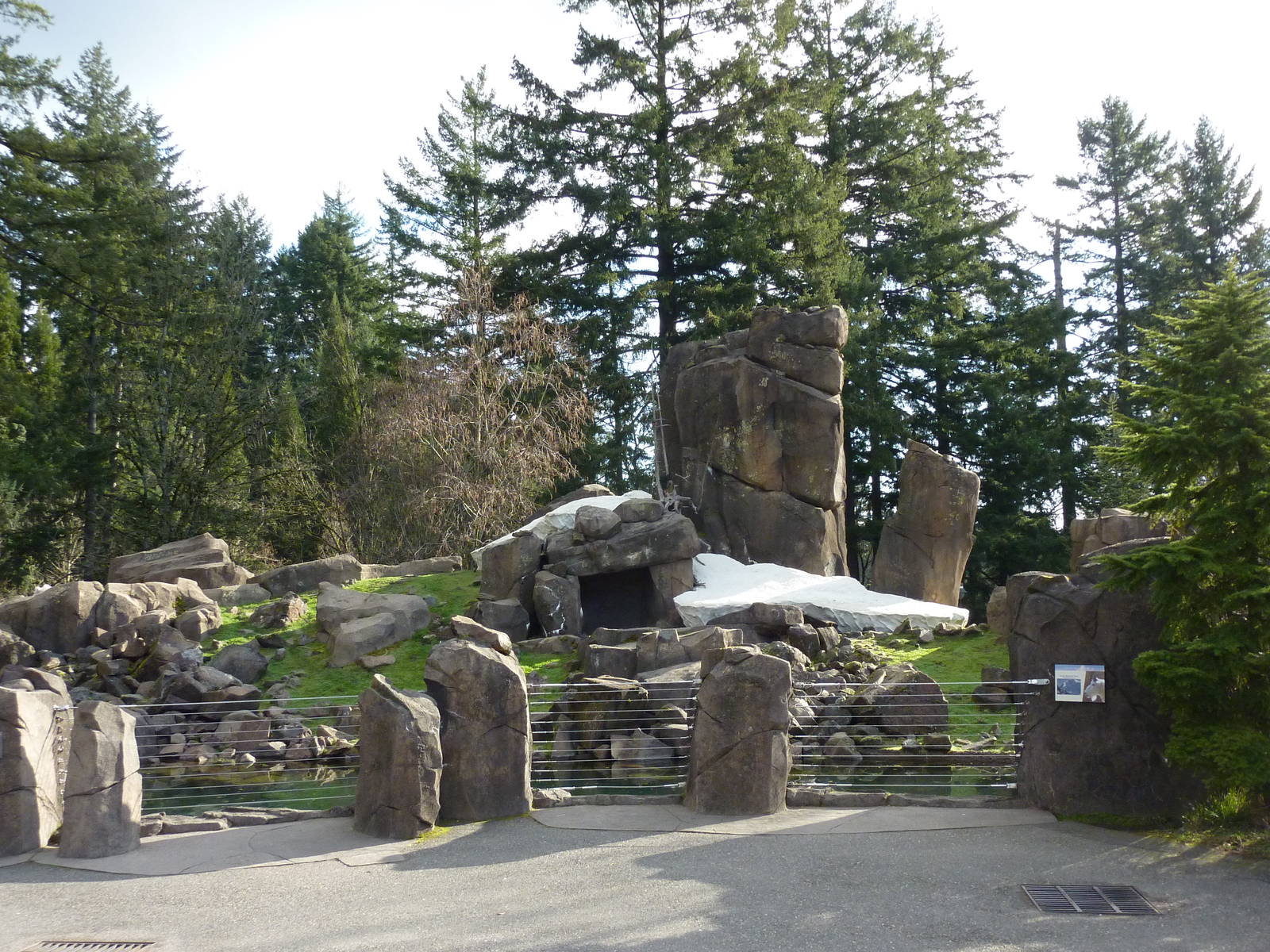 Rocky Mountain Goat Exhibit