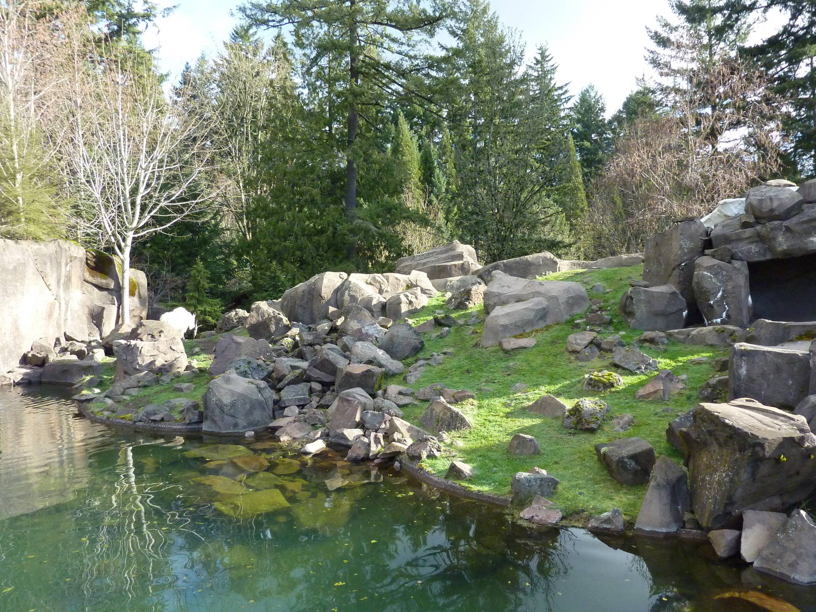 Rocky Mountain Goat Exhibit