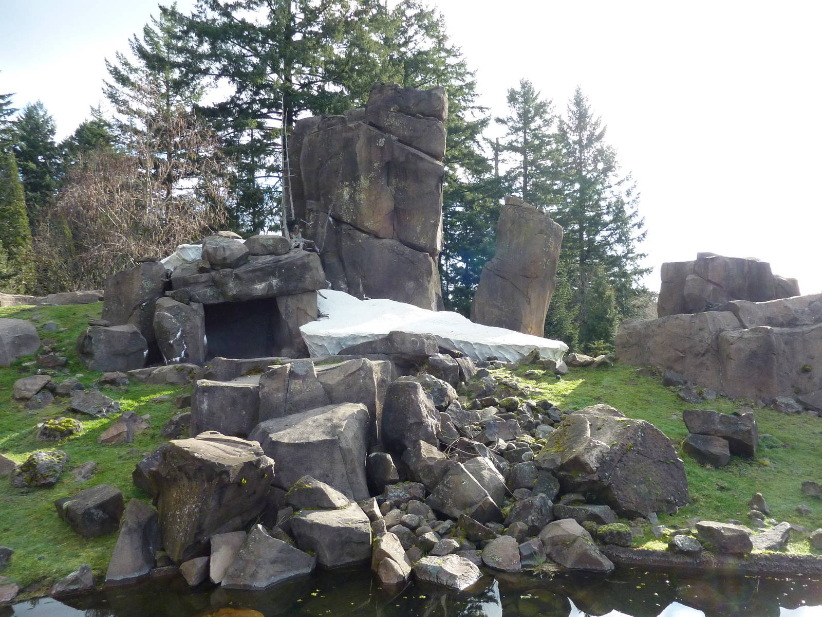 Rocky Mountain Goat Exhibit